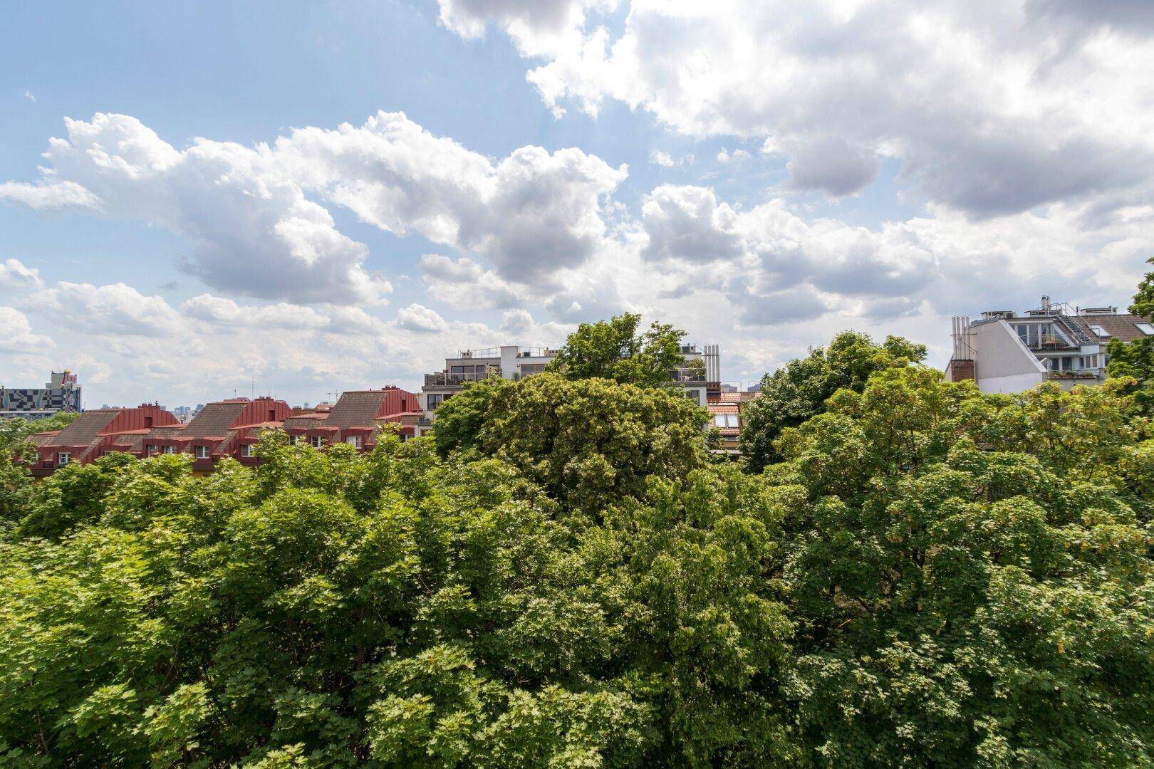 Weitläufiger Blick über grüne Baumwipfel und die Dächer der umliegenden Gebäude unter einem bewölkten Himmel.