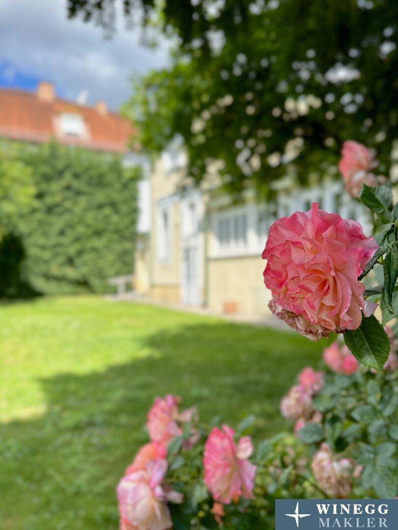 Stadthaus | Garten