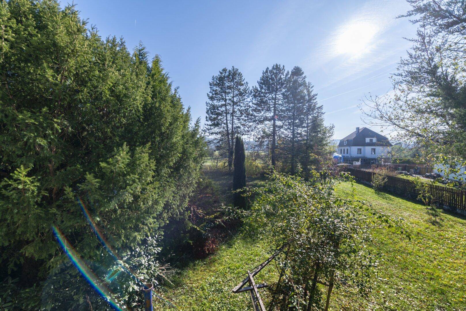 Sonniger Garten mit hohen Bäumen und Blick auf ein weiteres Gebäude in der Ferne.