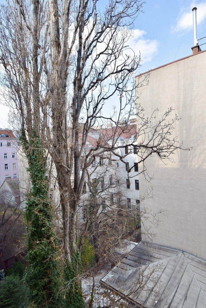 Blick aus dem Fenster auf hohe Bäume und die umliegenden Gebäude der Stadt.