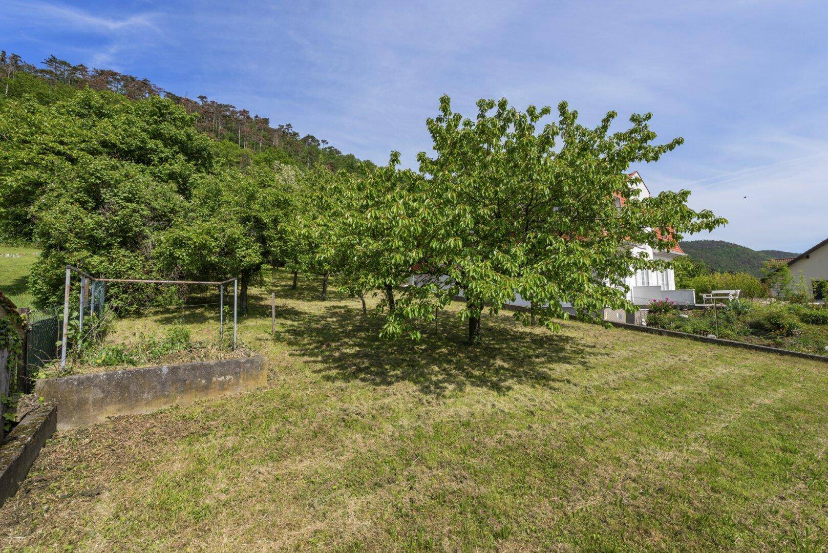 Obstgarten