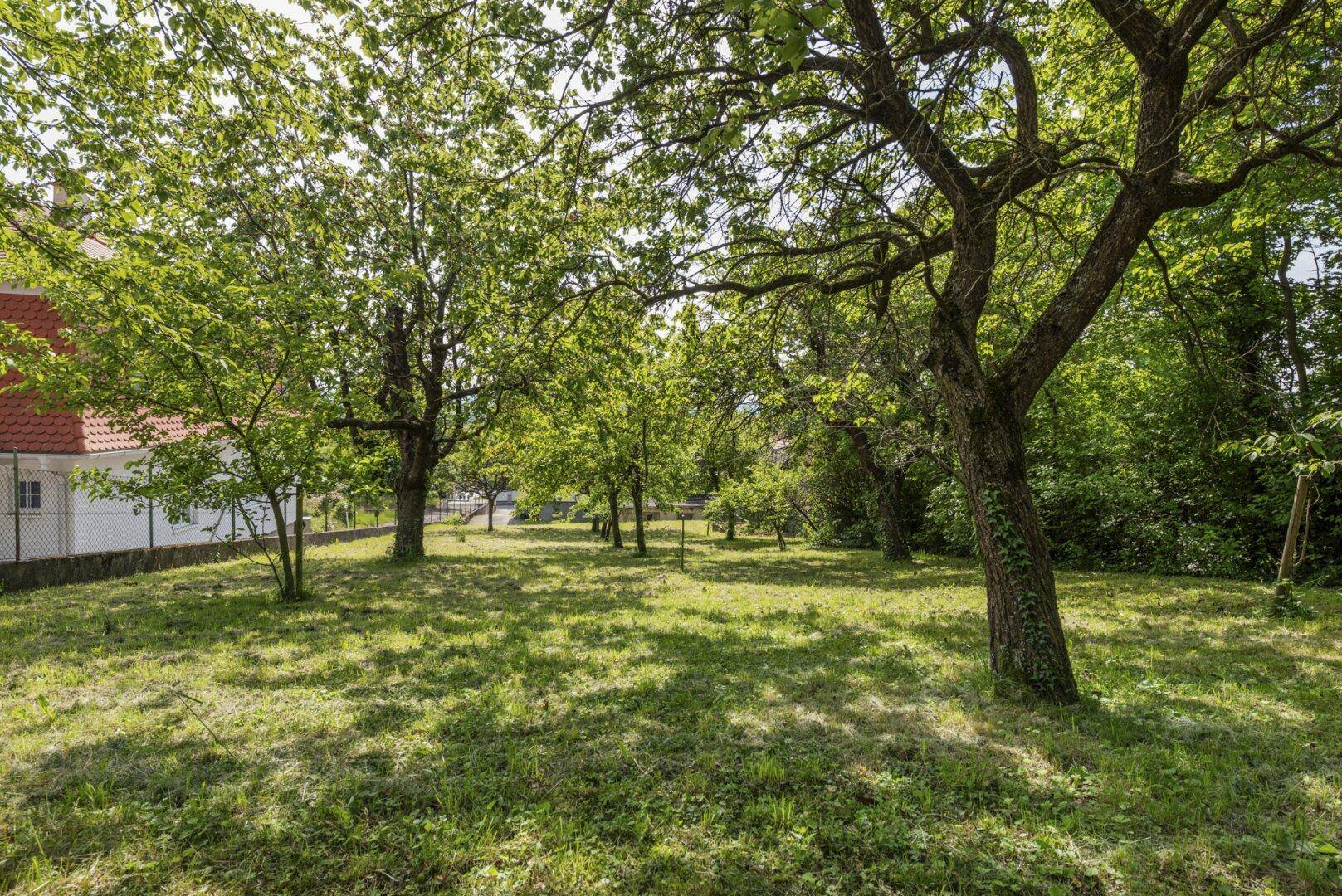 Obstgarten