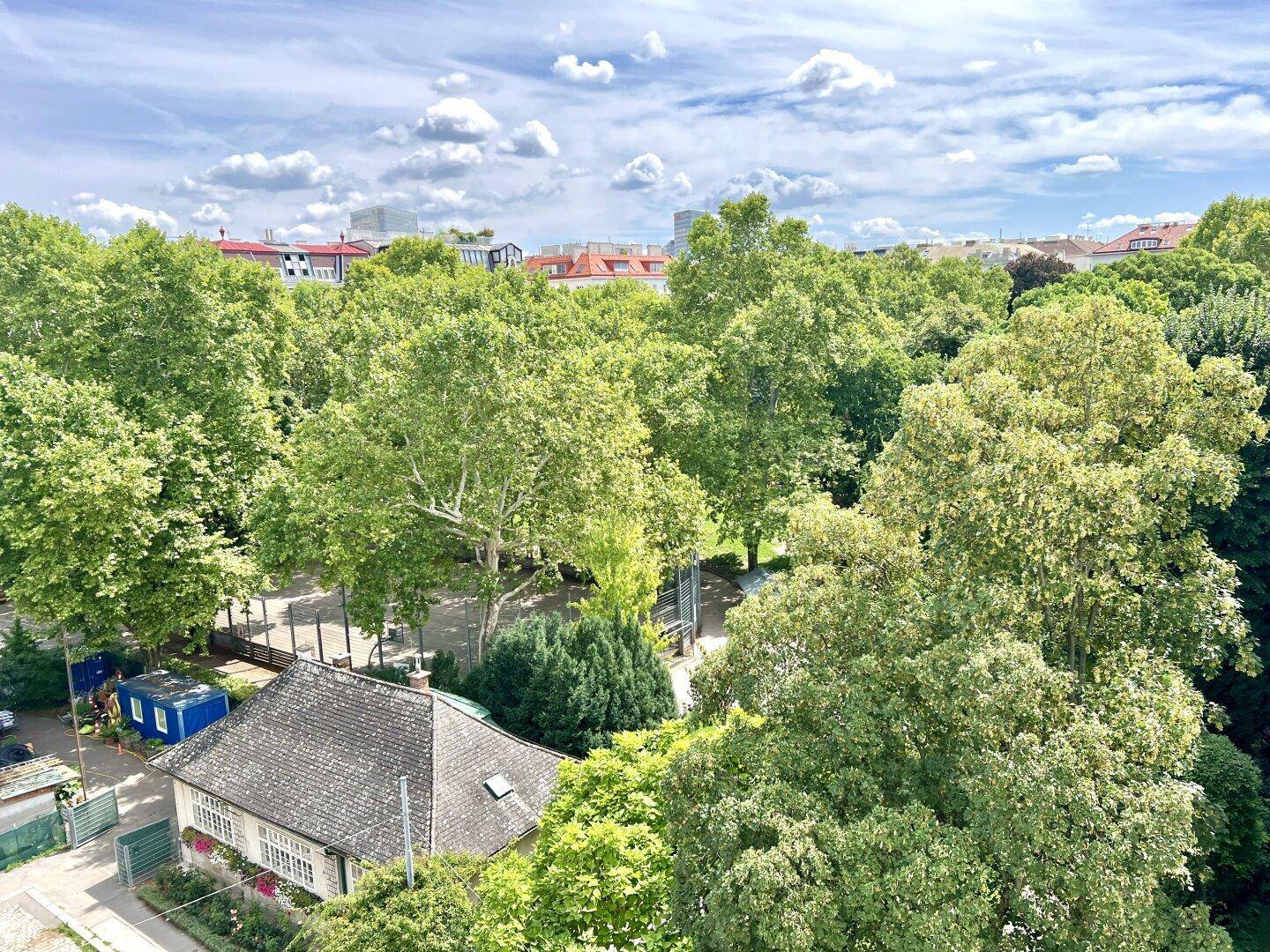 Ausblick