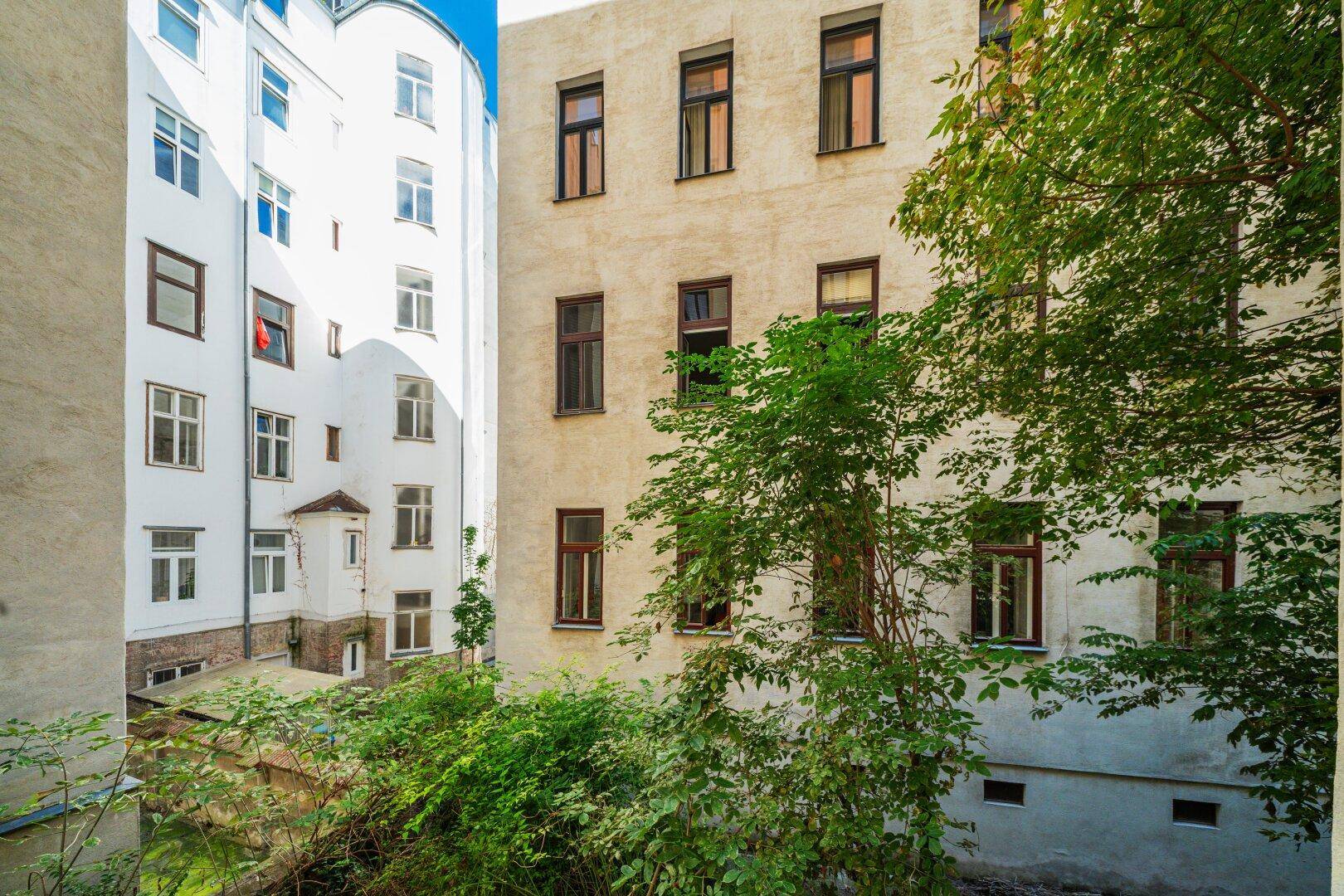 Blick in einen begrünten Innenhof zwischen zwei Altbaugebäuden mit vielen Fenstern.