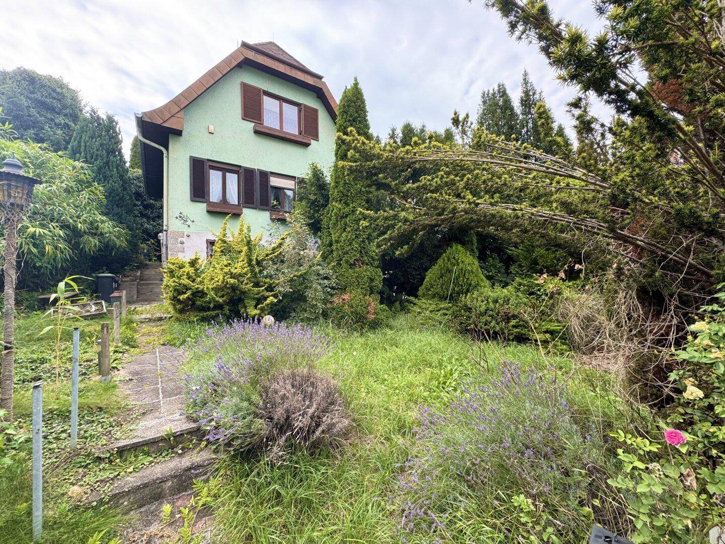 Vorderansicht eines Hauses mit hellgrüner Fassade, umgeben von einem naturbelassenen Garten mit Lavendel.