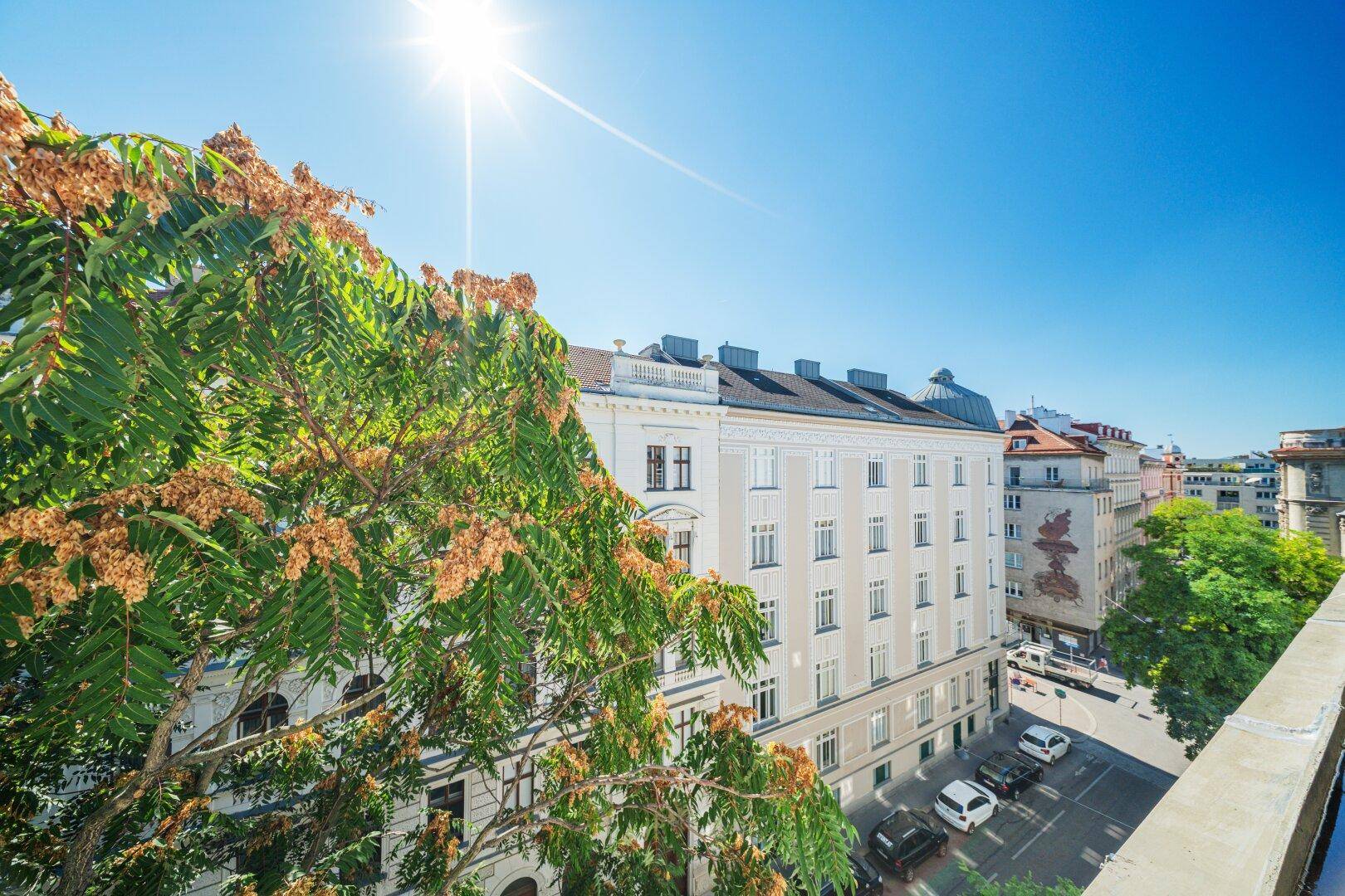 Sonniger Ausblick über die Stadt mit historischen Gebäuden und einem großen Baum im Vordergrund.