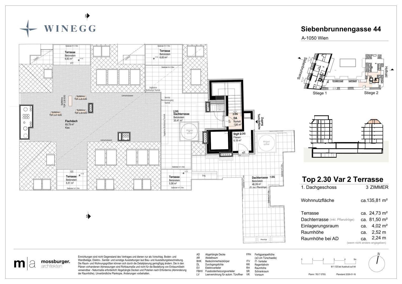 Übersicht des Grundrisses mit Fokus auf die weitläufige Dachterrasse und weitere Terrassenbereiche.