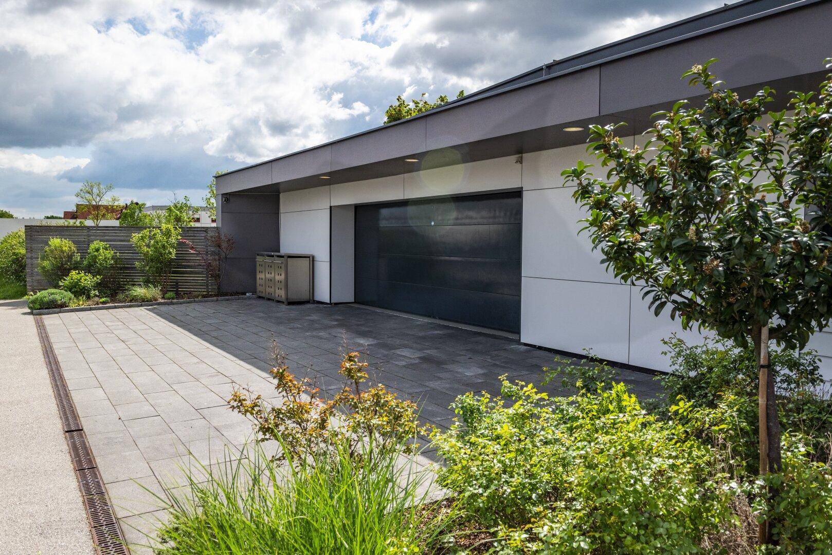Zufahrt und Garageneinfahrt des modernen Hauses mit gepflegter Bepflanzung.