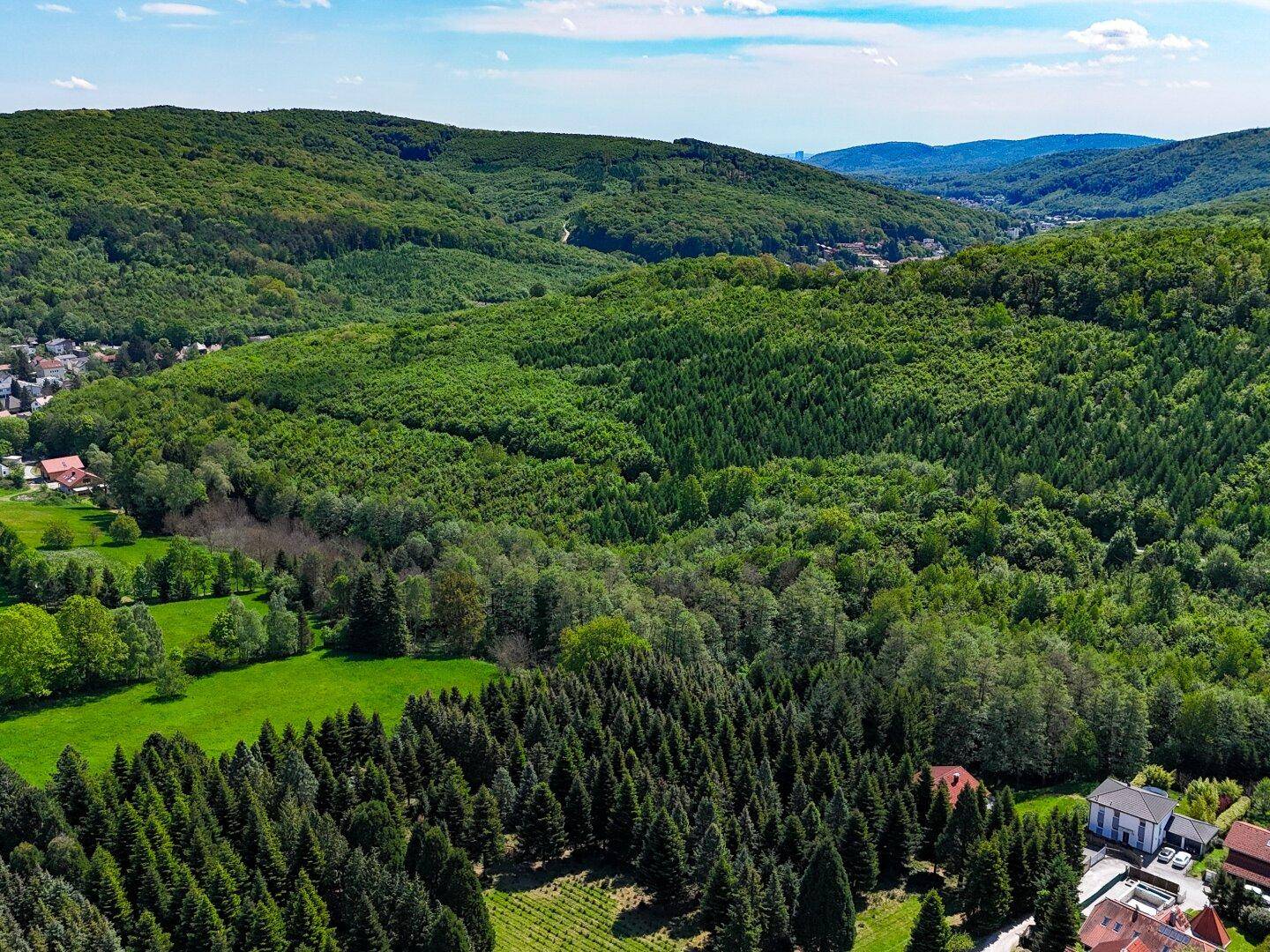 Luftaufnahme eines ausgedehnten Waldes und grüner Hügel, die sich in der Ferne erstrecken.