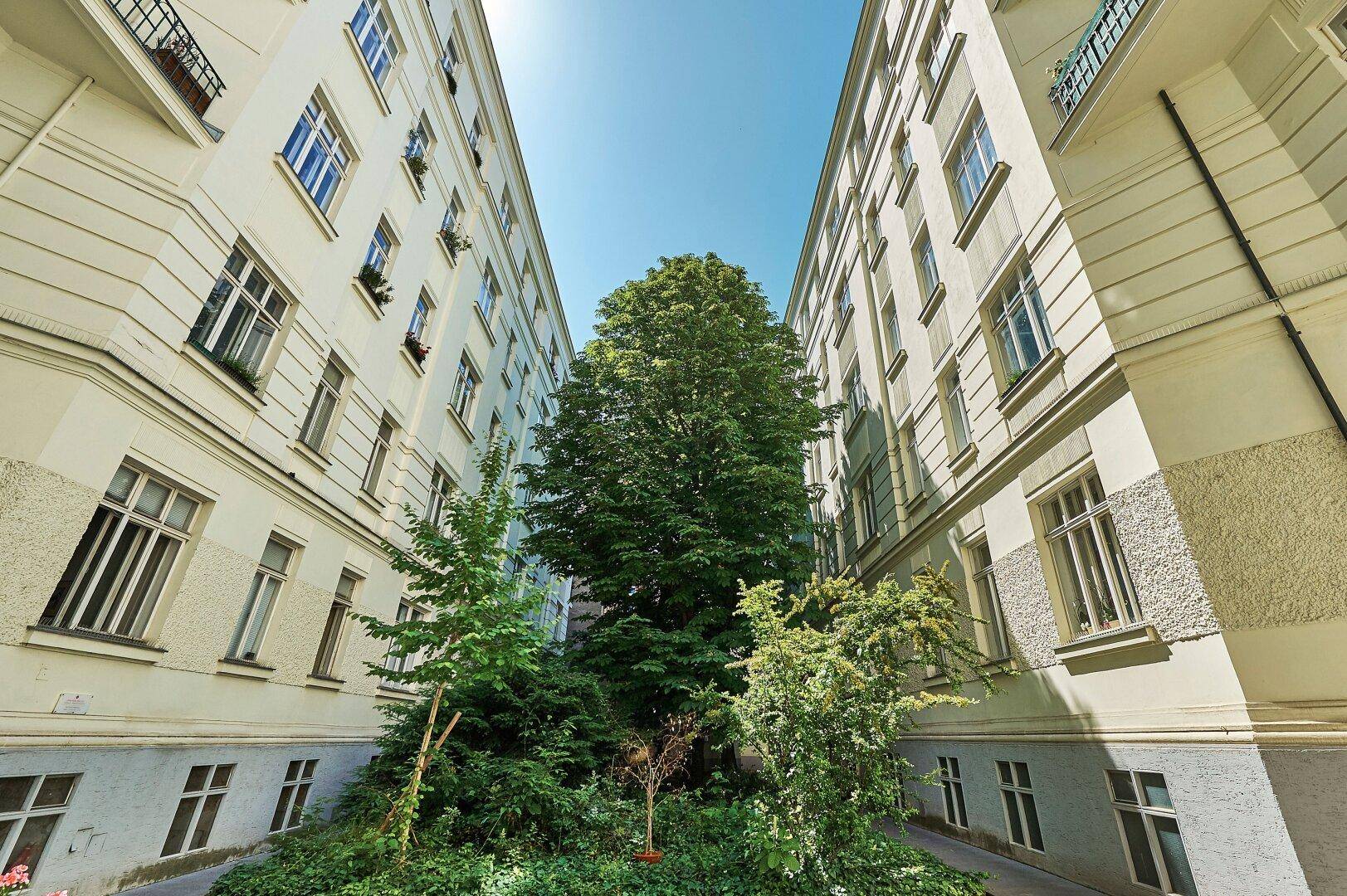Grüner Innenhof zwischen zwei Gebäudeflügeln, der eine ruhige und natürliche Umgebung bietet.