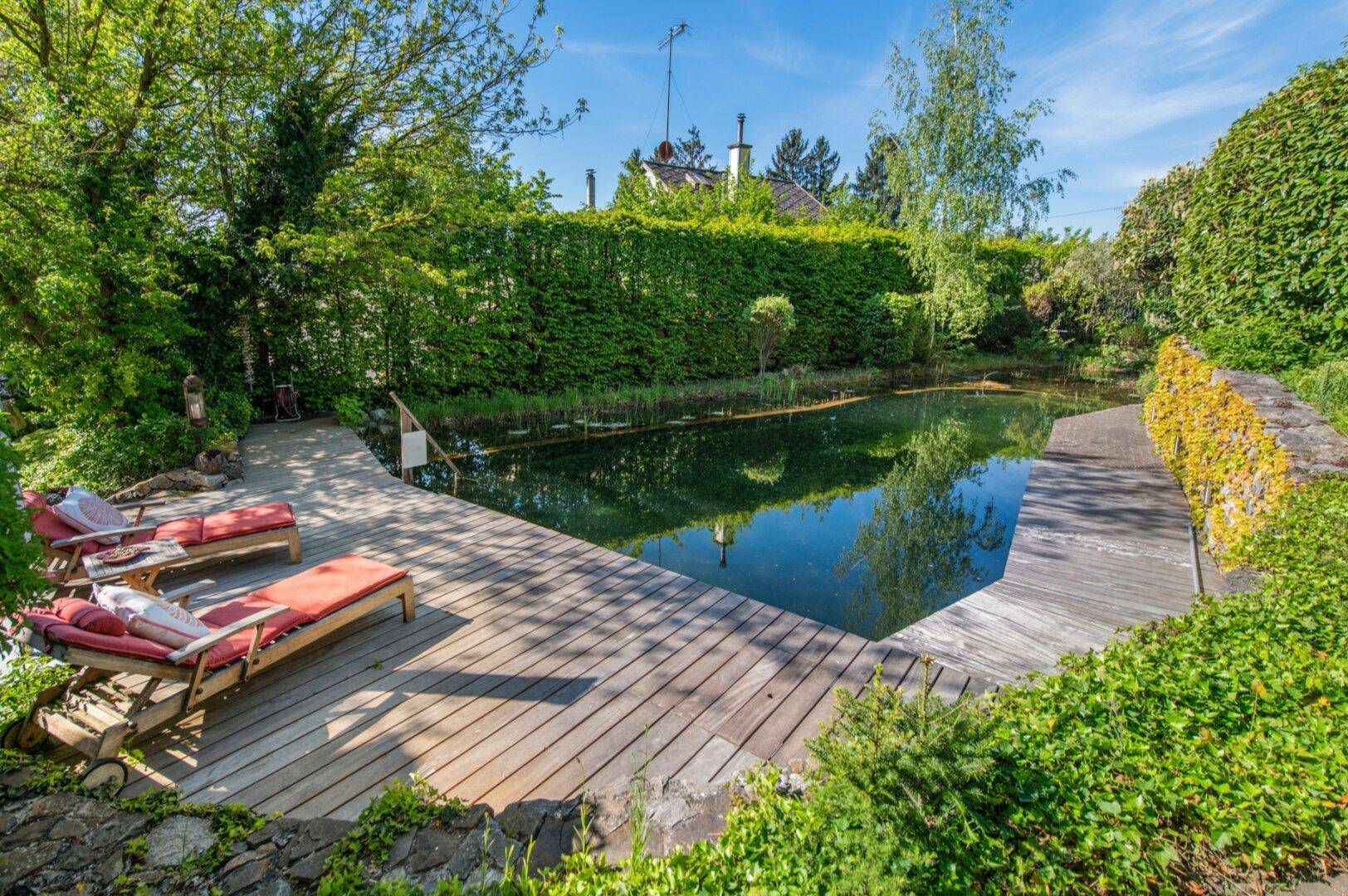 Naturpool mit großem Holzdeck und Liegestühlen, umgeben von üppigem Grün.