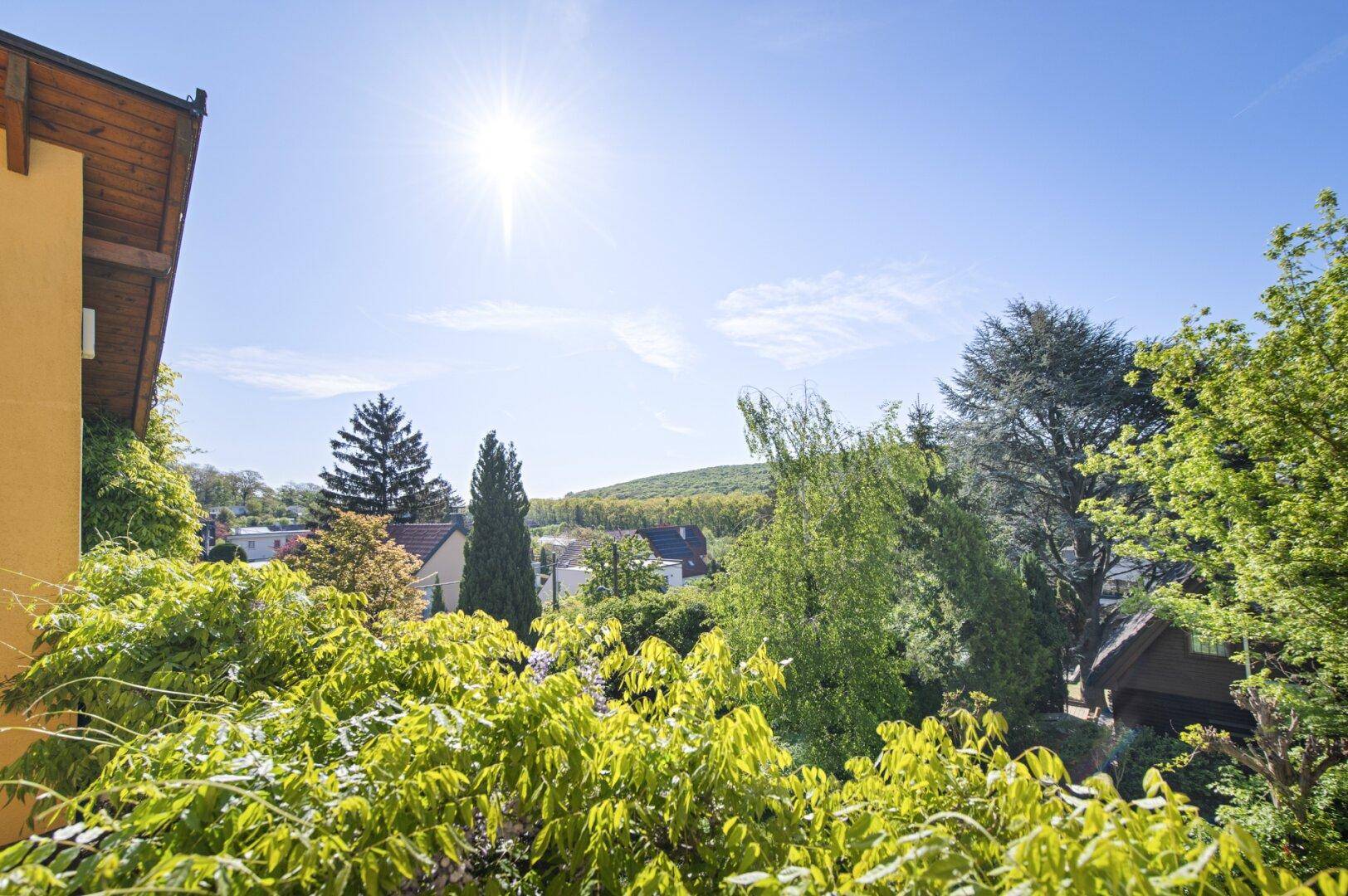 Weitläufiger Blick über eine grüne Landschaft mit Bäumen und Häusern in der Ferne an einem sonnigen Tag.