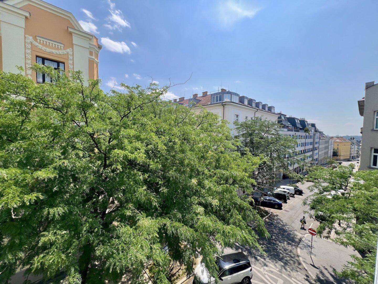 Panoramablick auf eine städtische Straße mit grünen Bäumen und historischen Gebäuden.