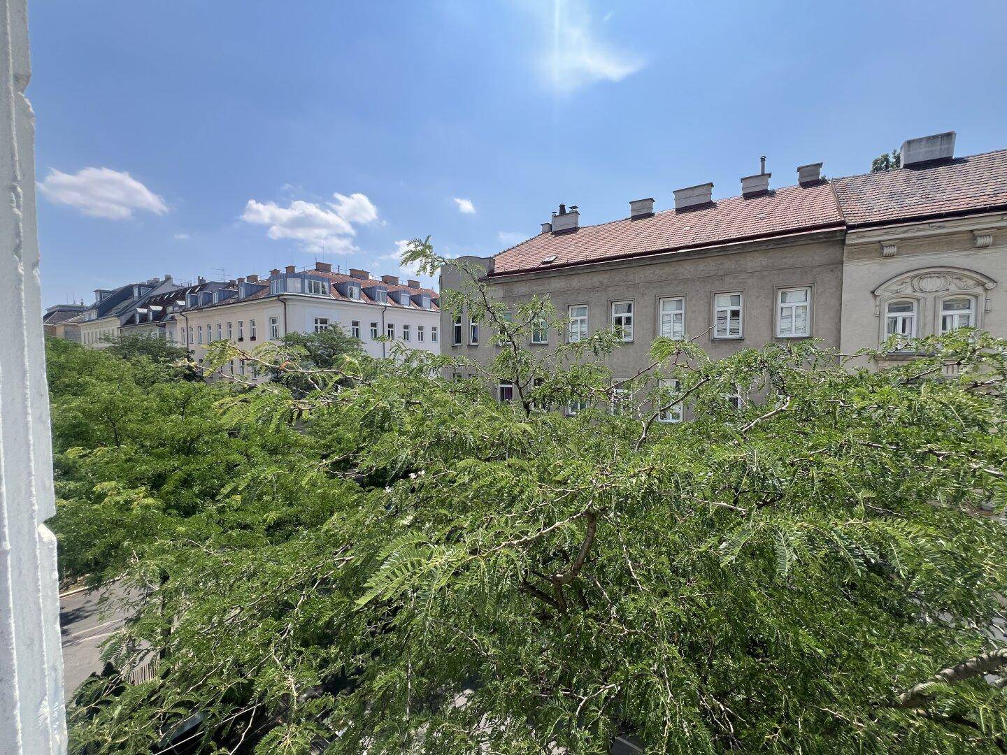Blick aus dem Fenster auf eine von Bäumen gesäumte Straße und historische Gebäude.