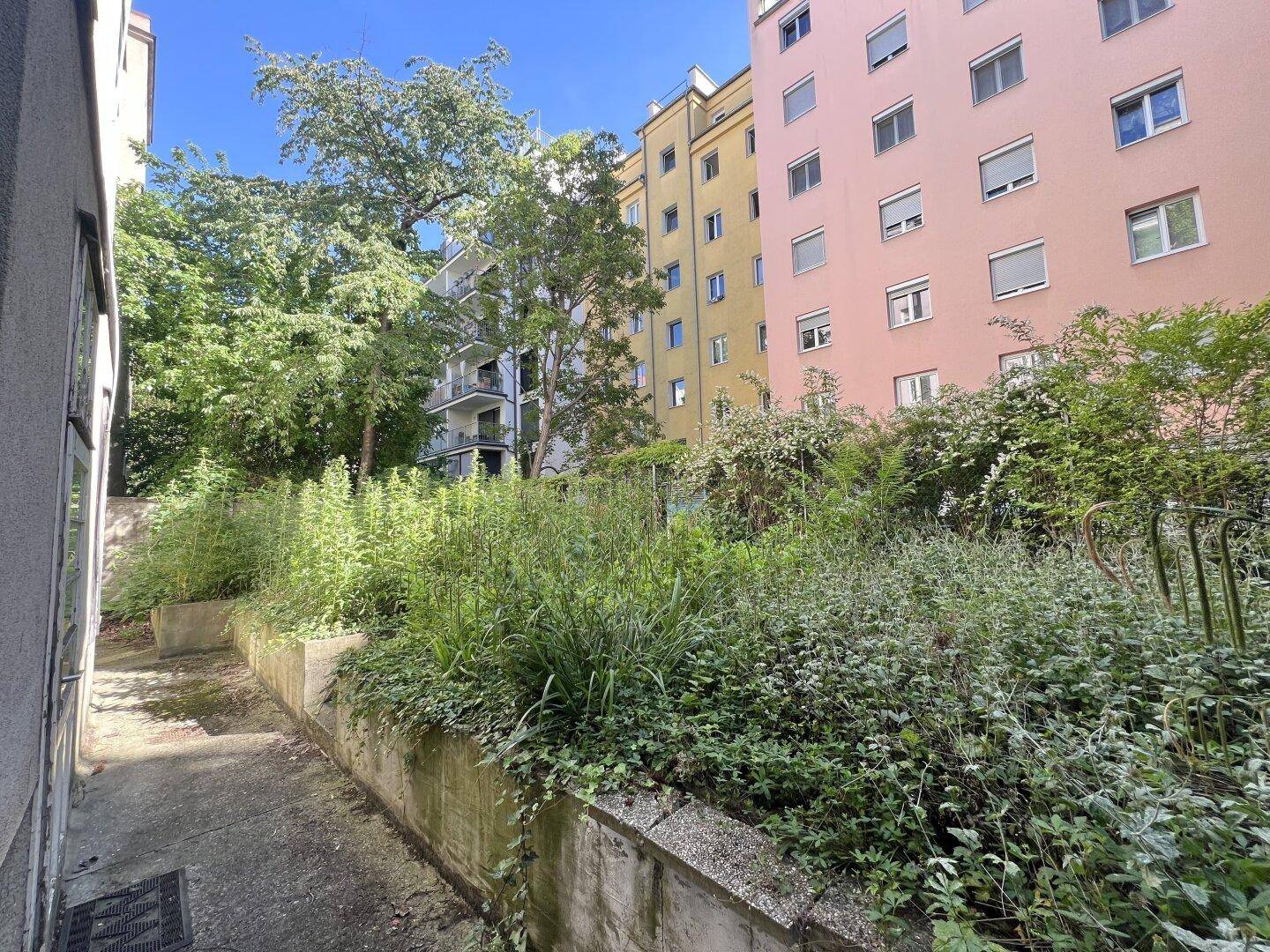 Blick auf den verwilderten Gartenbereich zwischen Gebäuden mit hohen Bäumen und Sträuchern.