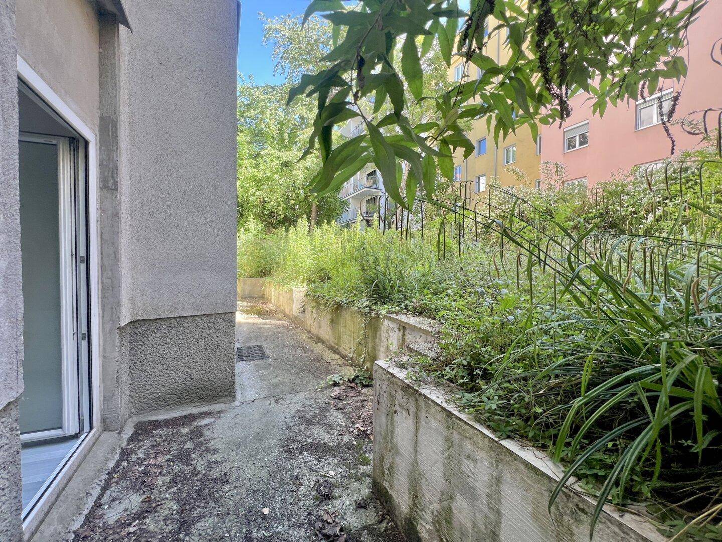 Schmaler Weg durch einen verwilderten Gartenbereich mit Betonmauern und viel Grün.