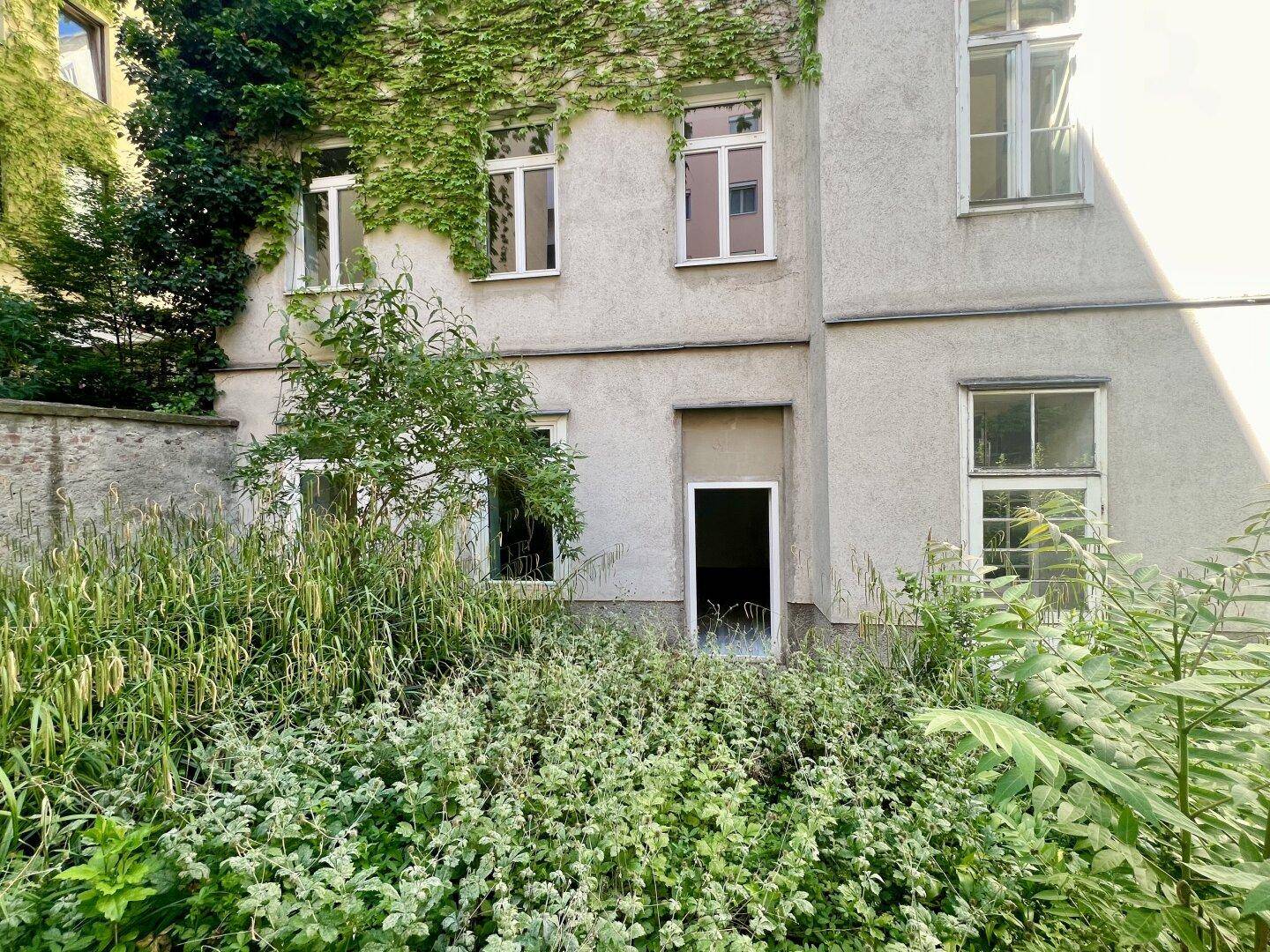 Überwachsener Gartenbereich hinter einem Gebäude mit Efeu an der Fassade und mehreren Fenstern.
