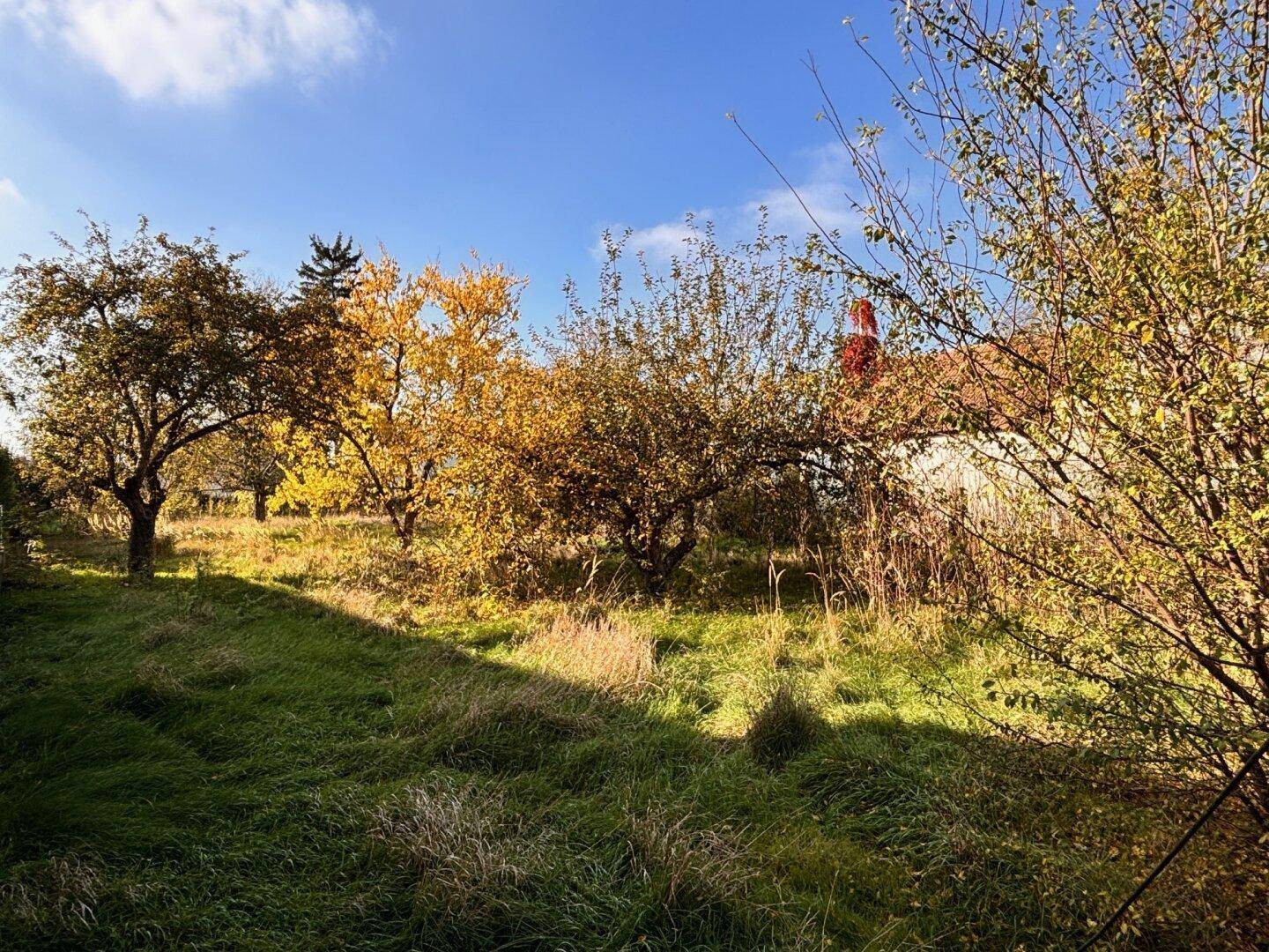Idyllischer Garten mit Obstbäumen und Blick auf ein traditionelles Hausdach unter blauem Himmel.