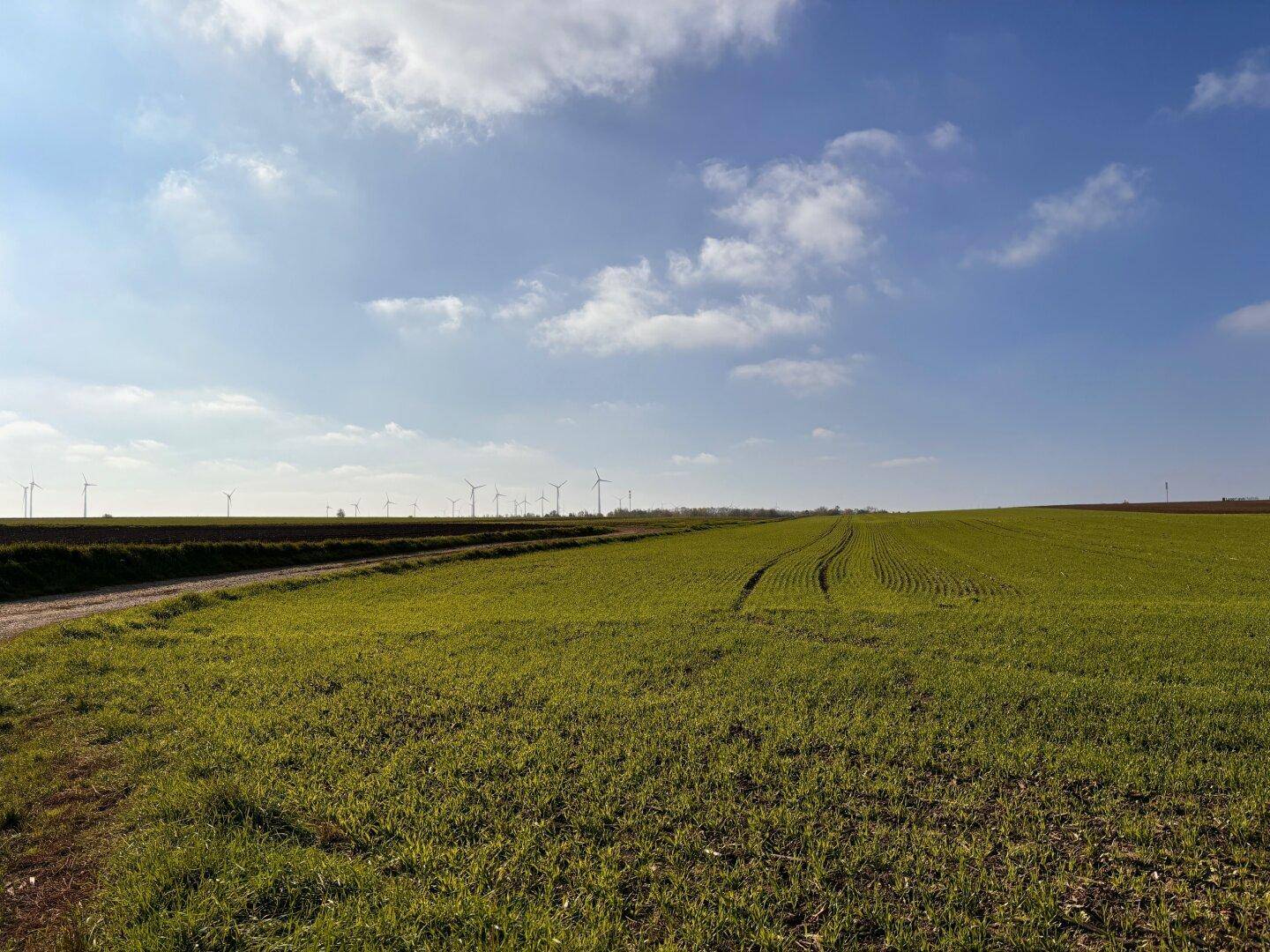 Weite grüne Felder unter blauem Himmel mit Windrädern am Horizont, typisch für die Landschaft.