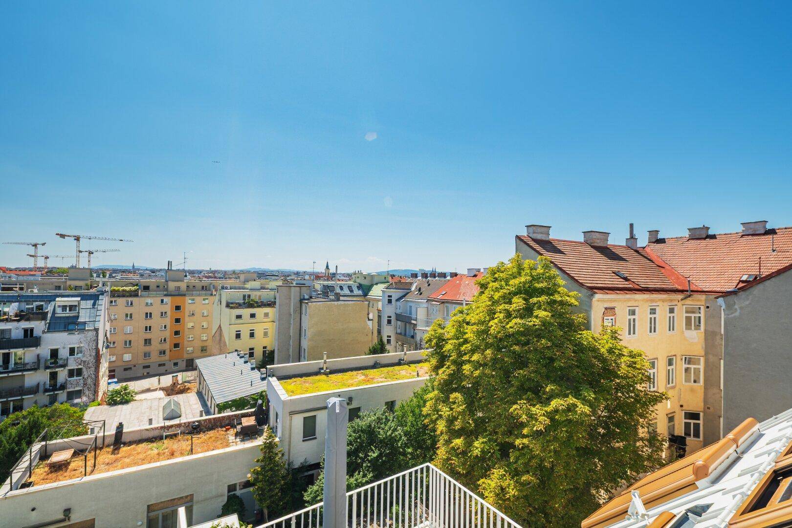 Ausblick über die Dächer der Stadt mit viel Grün und historischen Gebäuden im Hintergrund.