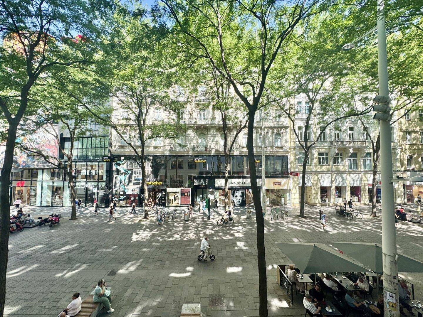Belebtes Stadtzentrum mit Geschäften, Bäumen und Menschen, die die Fußgängerzone genießen.
