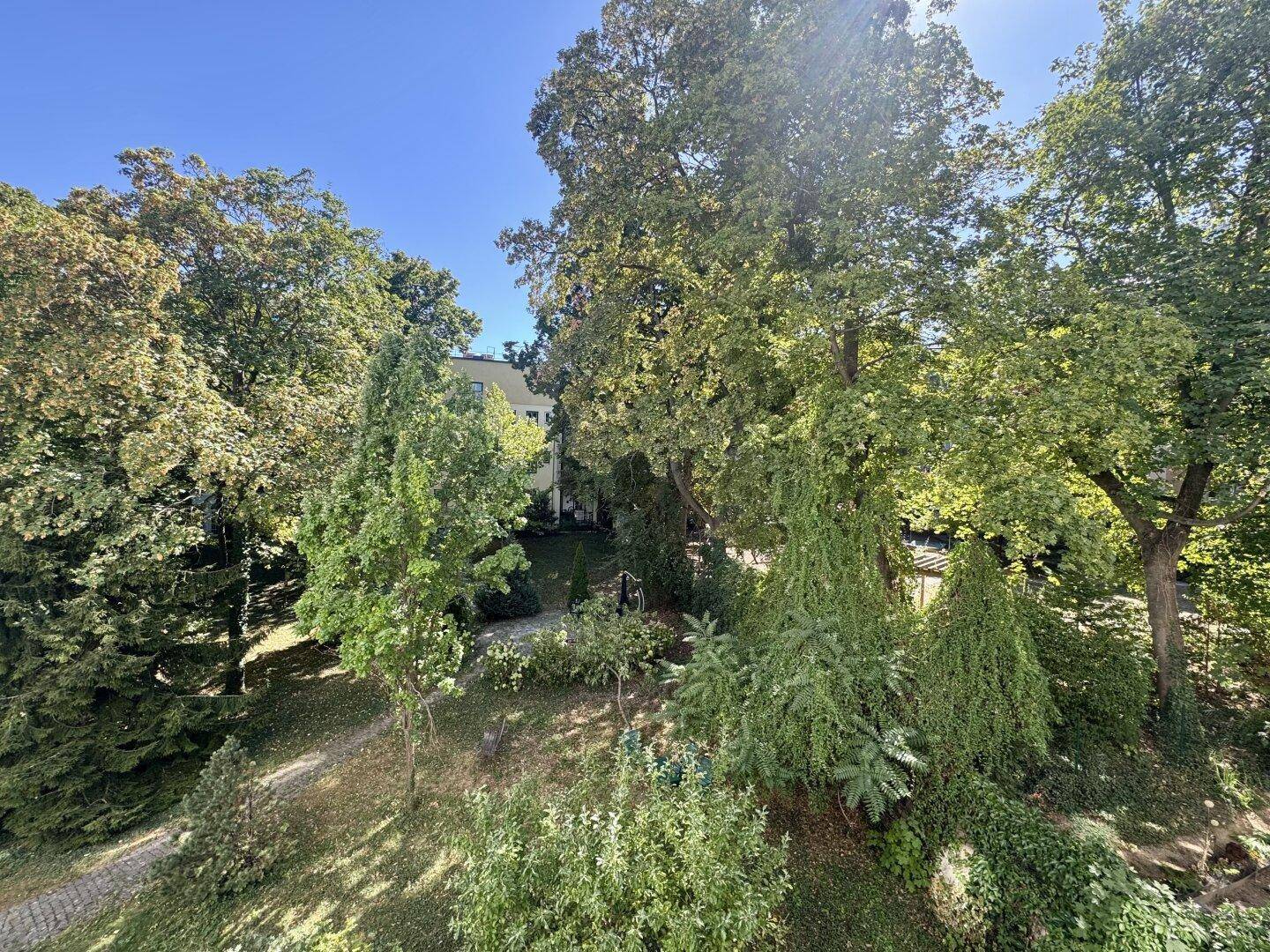 Üppiger grüner Gartenbereich mit hohen Bäumen und viel Sonnenlicht, von oben betrachtet.