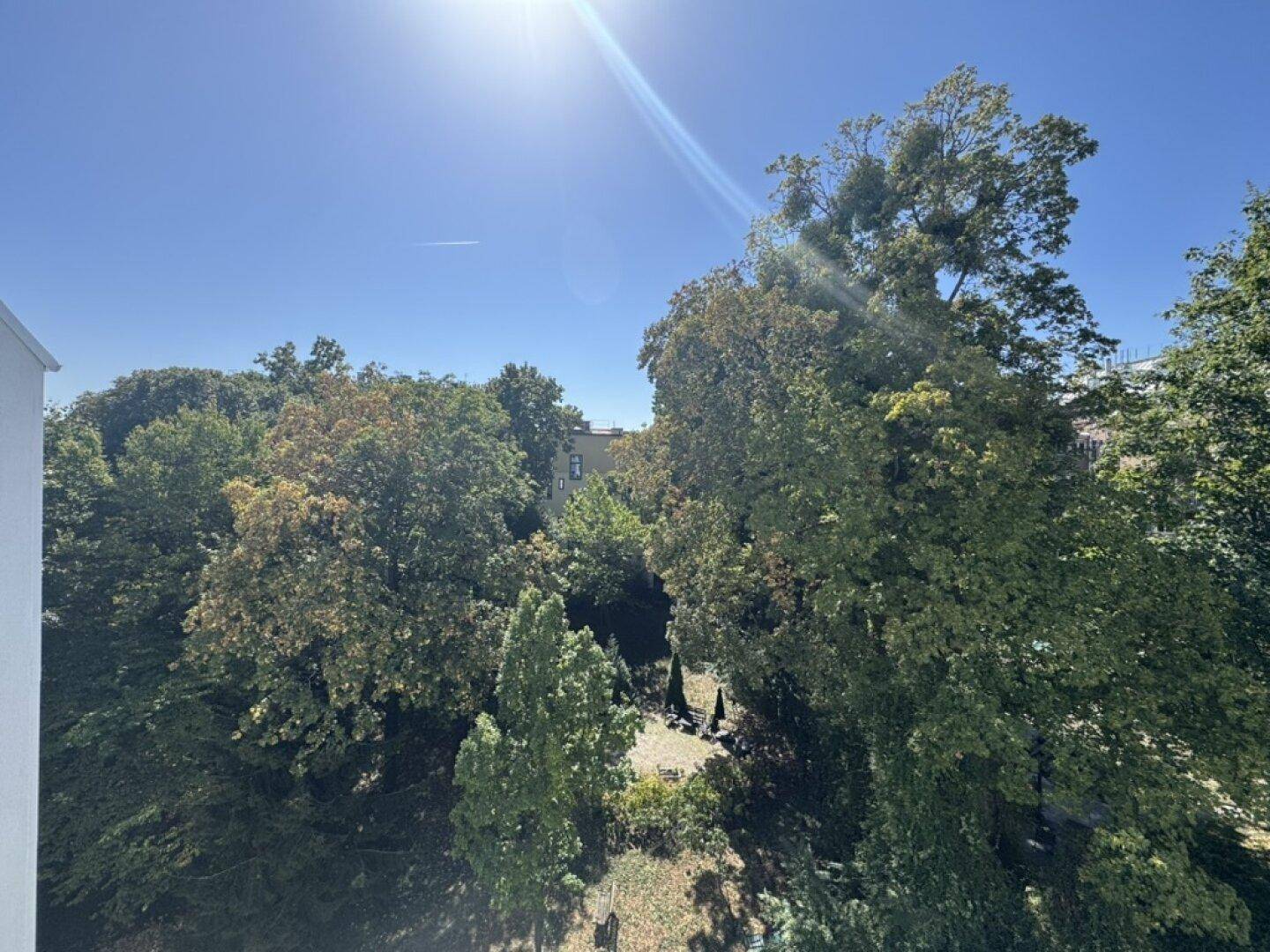 Sonniger Ausblick ins Grüne mit vielen Bäumen unter blauem Himmel.