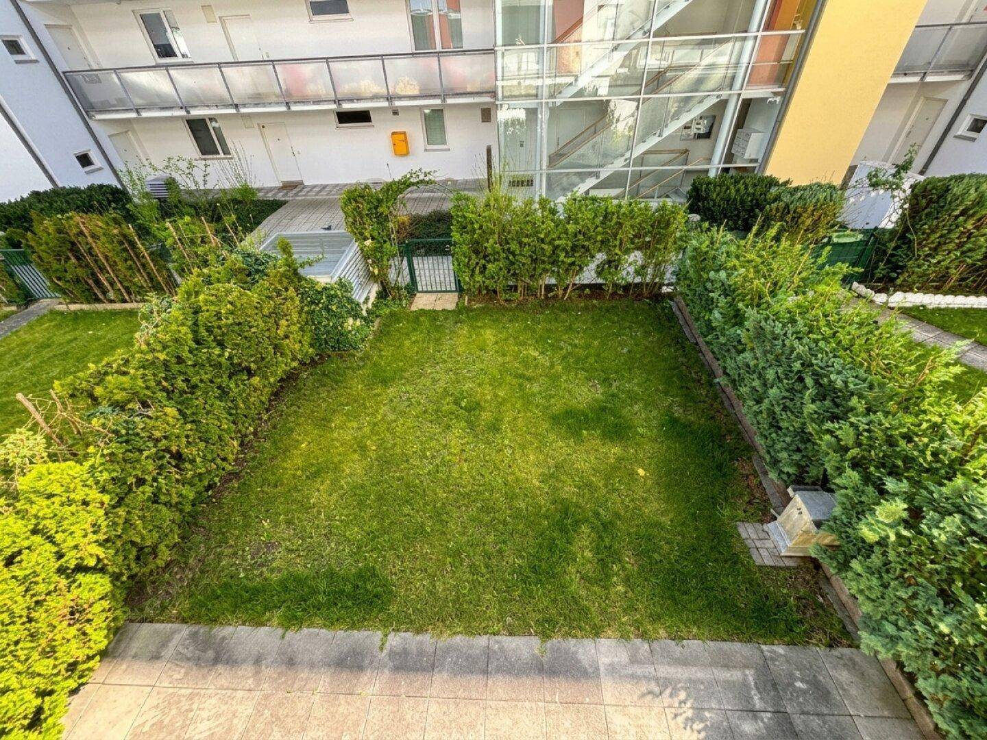 Gepflegter, umzäunter Gartenbereich mit Rasenfläche und dichten Hecken.