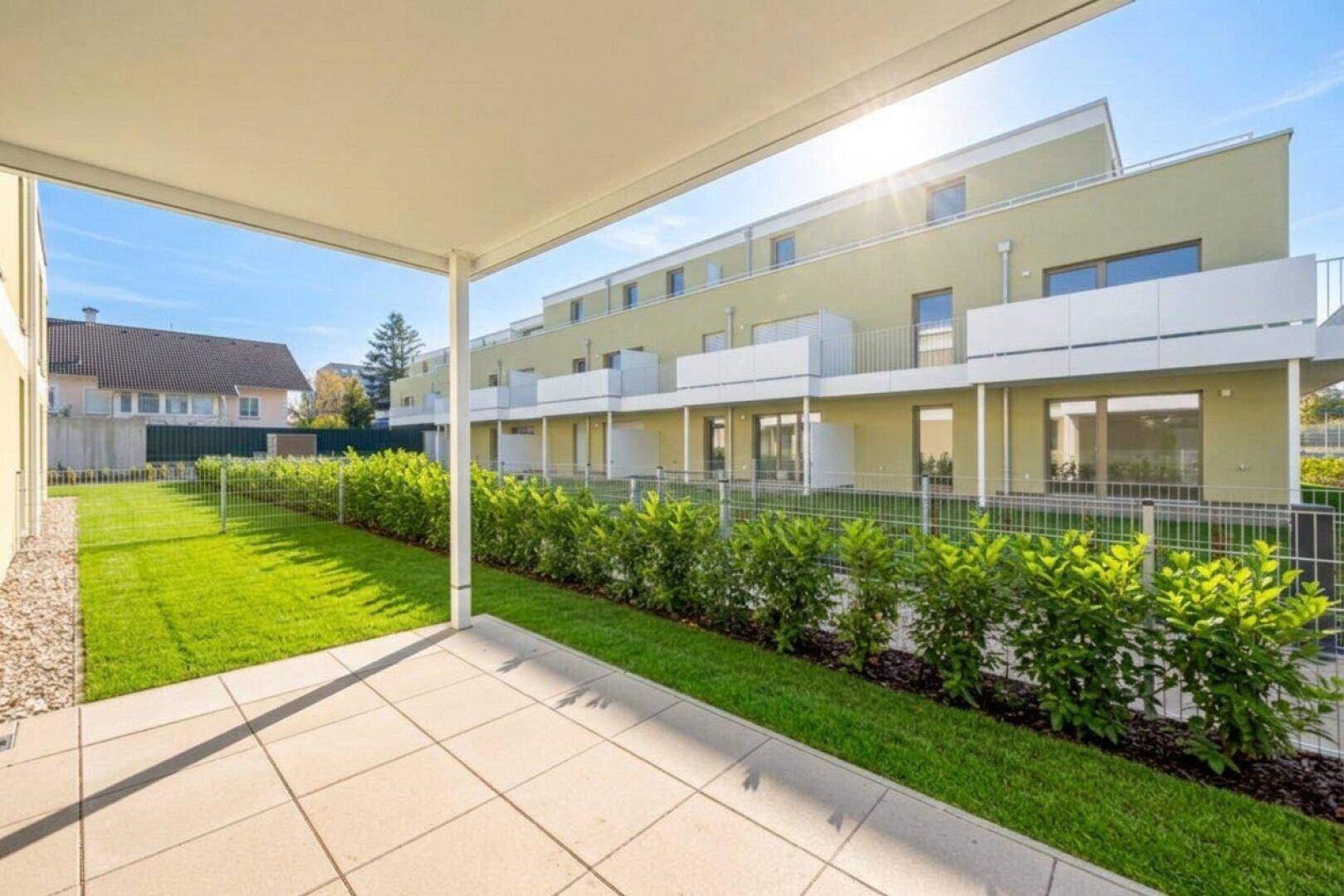 Sonniger Terrassenbereich mit Rasenfläche und Hecke vor einem modernen Wohngebäude.