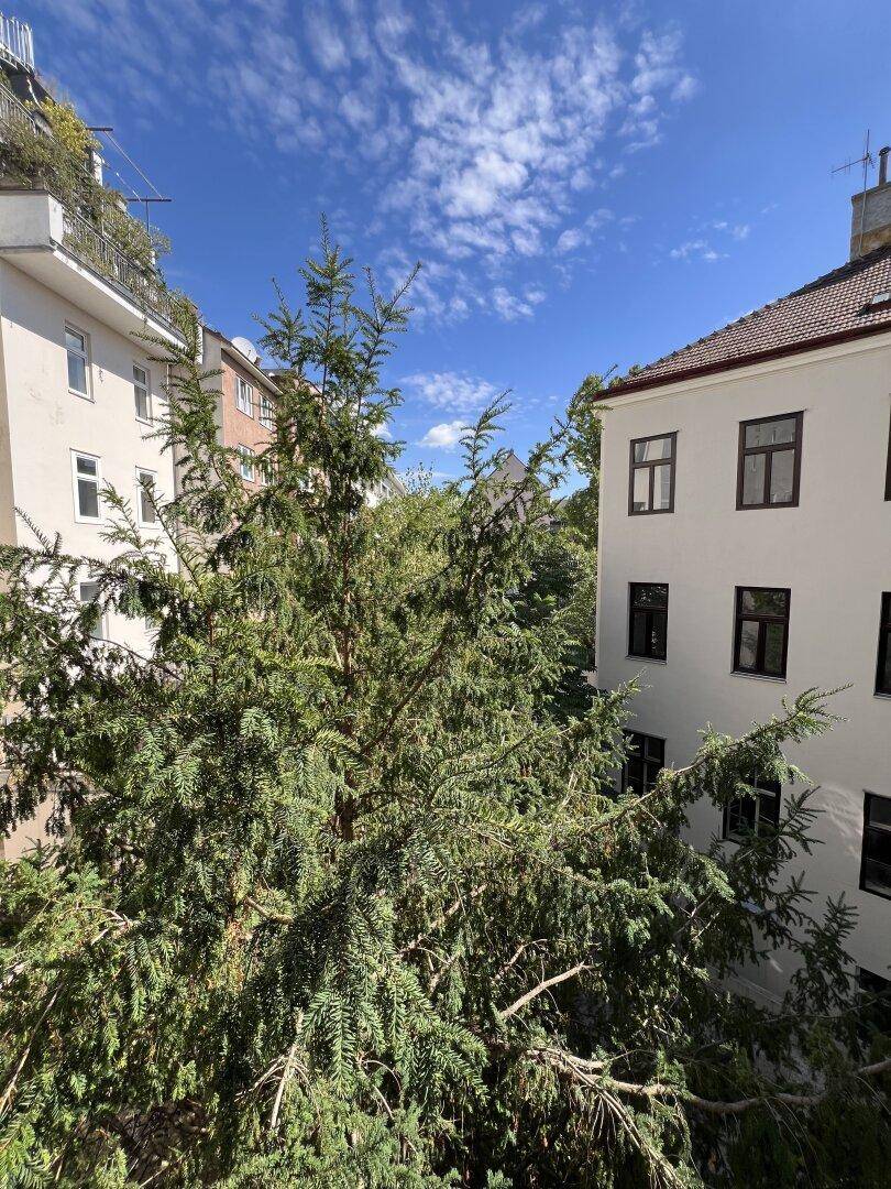 Blick auf die Fassade eines Wohnhauses mit viel Grün und Bäumen im Vordergrund.