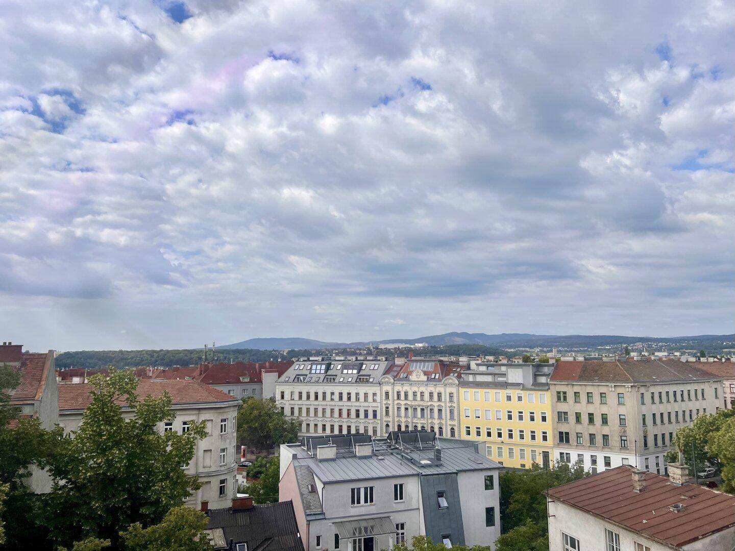 Weitläufiger Blick über die Stadt mit Dächern, Bäumen und einer Bergkette am Horizont unter bewölktem Himmel.