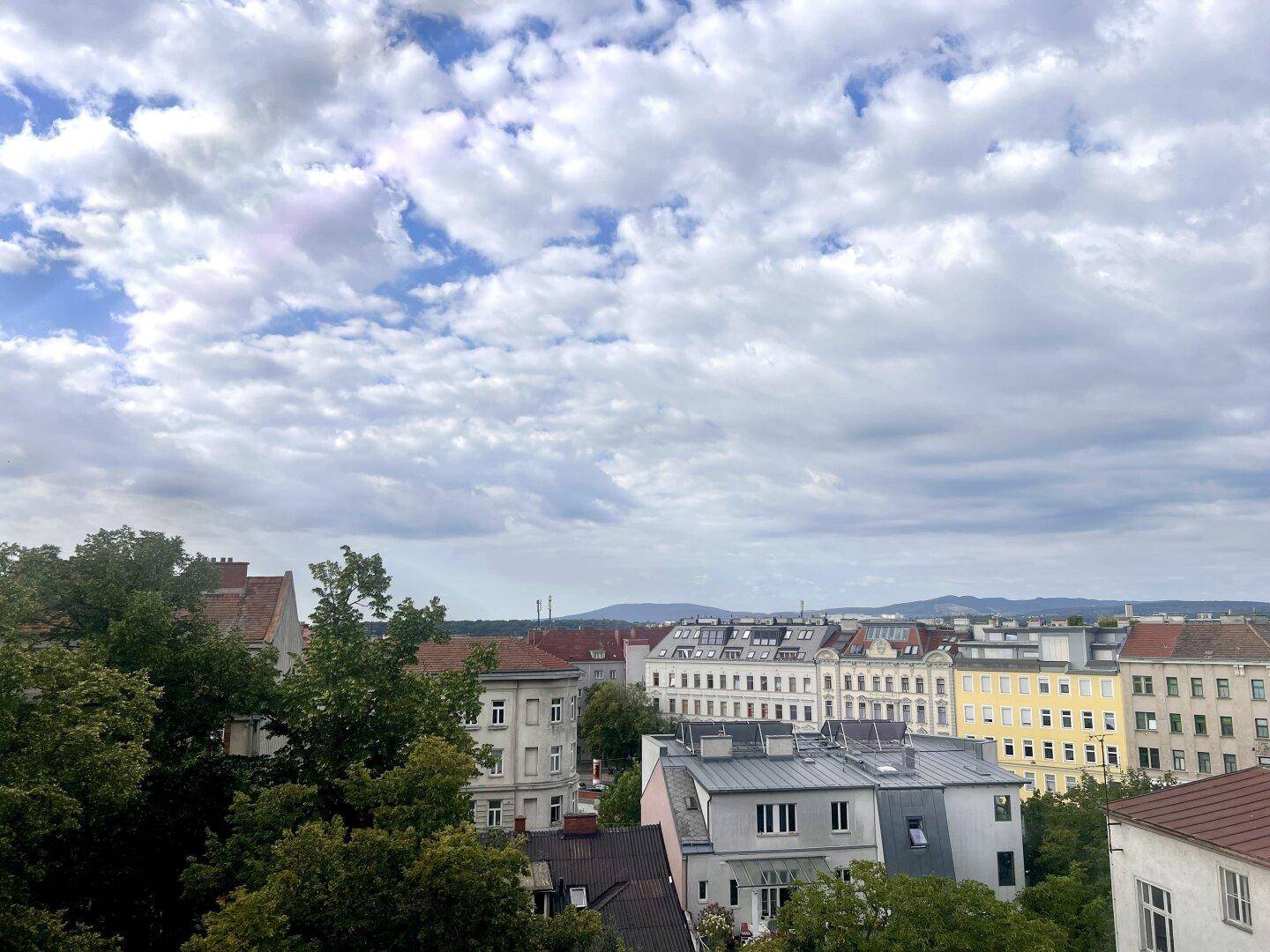 Weitläufiger Blick über die Dächer der Stadt mit grünen Bäumen und bewölktem Himmel.