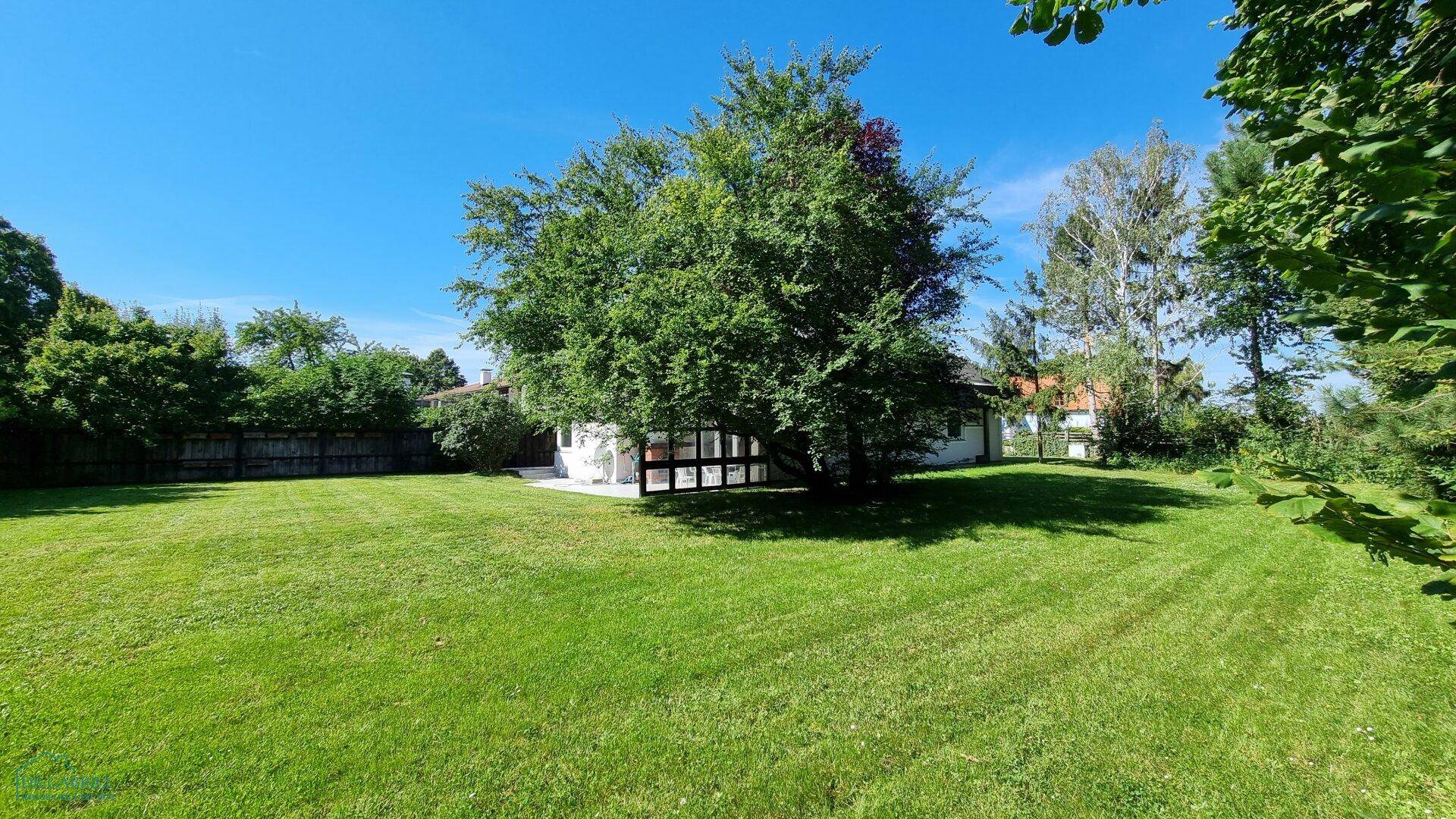 Weitläufiger Garten mit großem Baum und viel Grünfläche, ideal zum Entspannen und Spielen.
