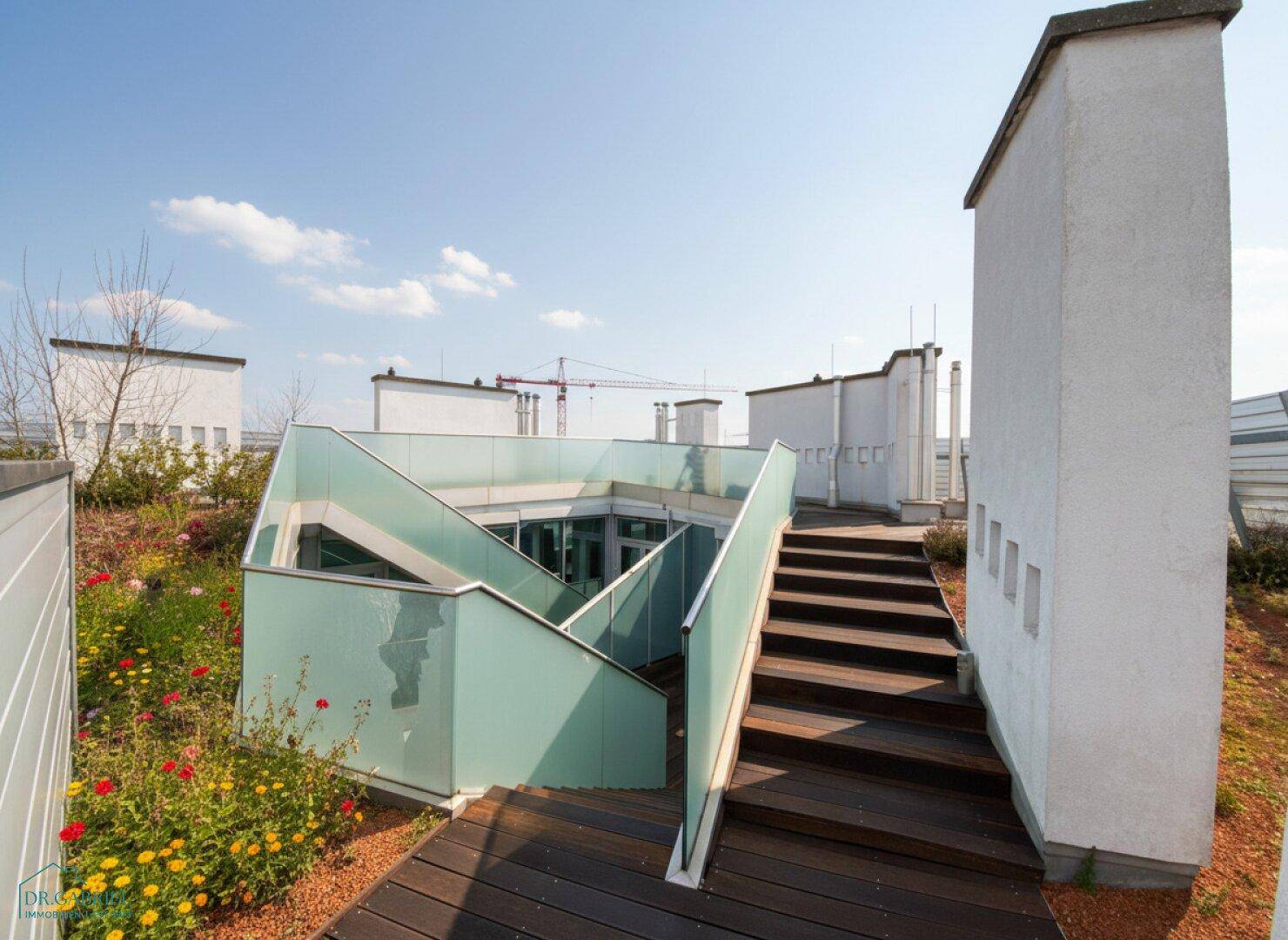 Dachterrasse mit Holzboden, begrünten Flächen und moderner Glasarchitektur, die den Zugang zum Innenbereich ermöglicht.