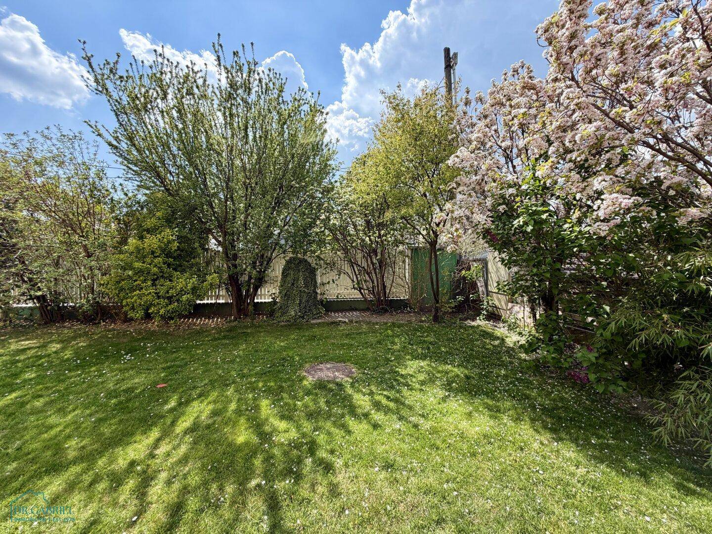 Großer, gepflegter Gartenbereich mit Rasenfläche und verschiedenen Bäumen und Sträuchern.