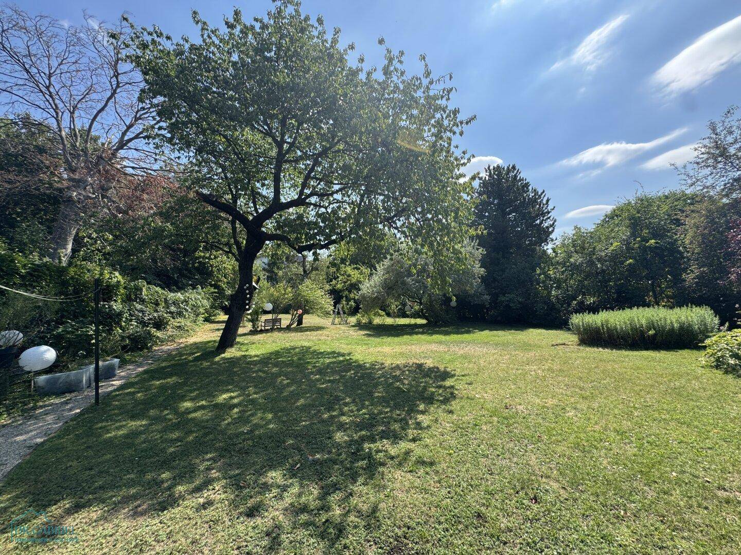 Großer, gepflegter Garten mit Rasenfläche und altem Baumbestand unter blauem Himmel.