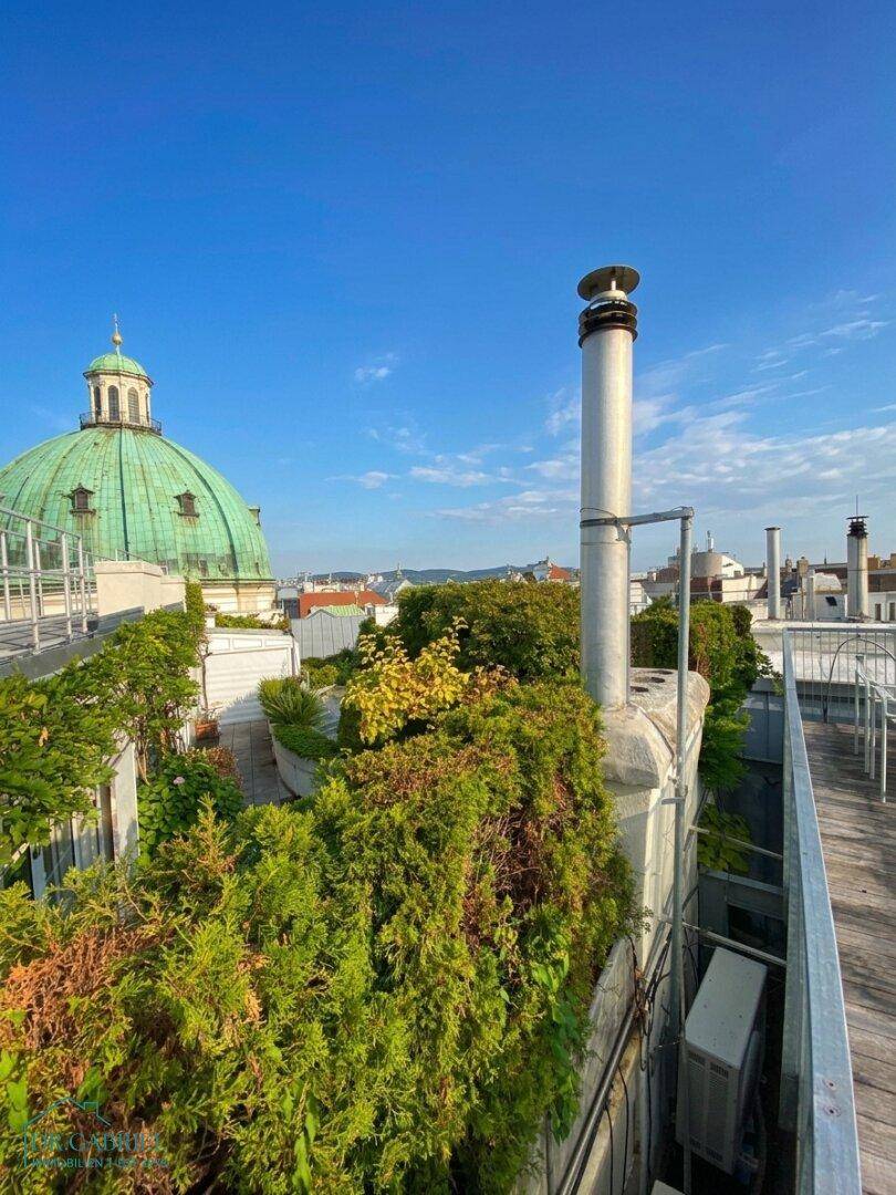 Begrünte Dachterrasse mit Pflanzen und einem malerischen Blick auf die historische Stadtkulisse.