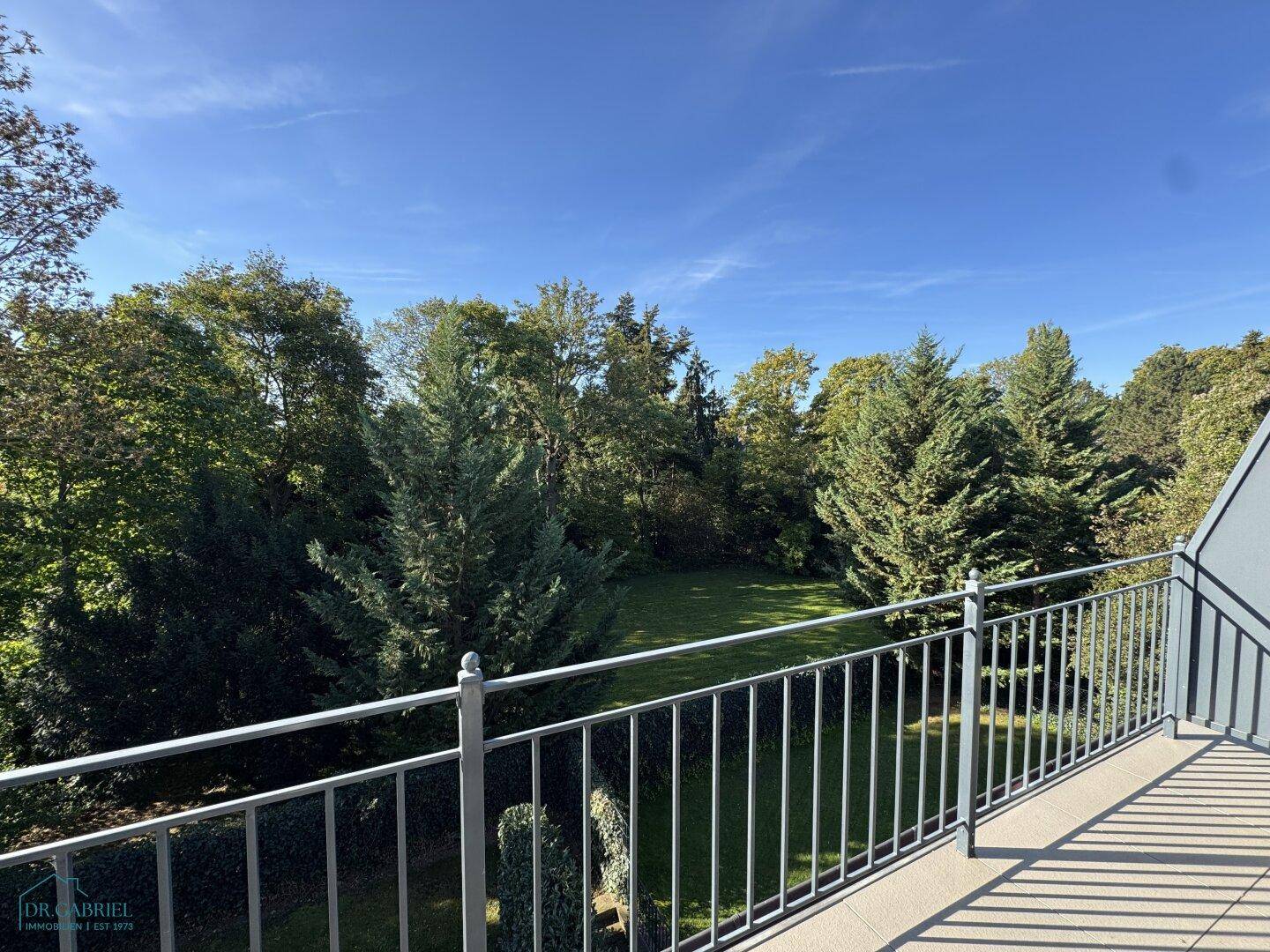 Sonniger Balkon mit weitem Blick ins Grüne und alten Bäumen.