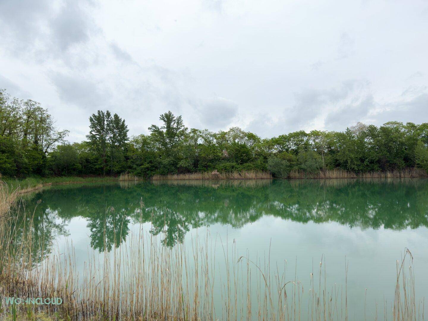 Malerischer See mit üppiger Ufervegetation unter einem bewölkten Himmel.