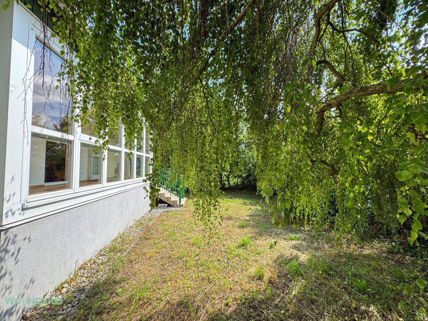 Gartenbereich neben dem Wintergarten mit viel Grün und natürlicher Bepflanzung.