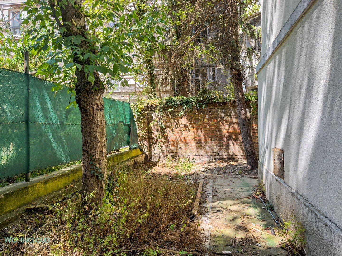 Ungepflegter Gartenbereich mit altem Weg und Bewuchs, bereit für Neugestaltung.
