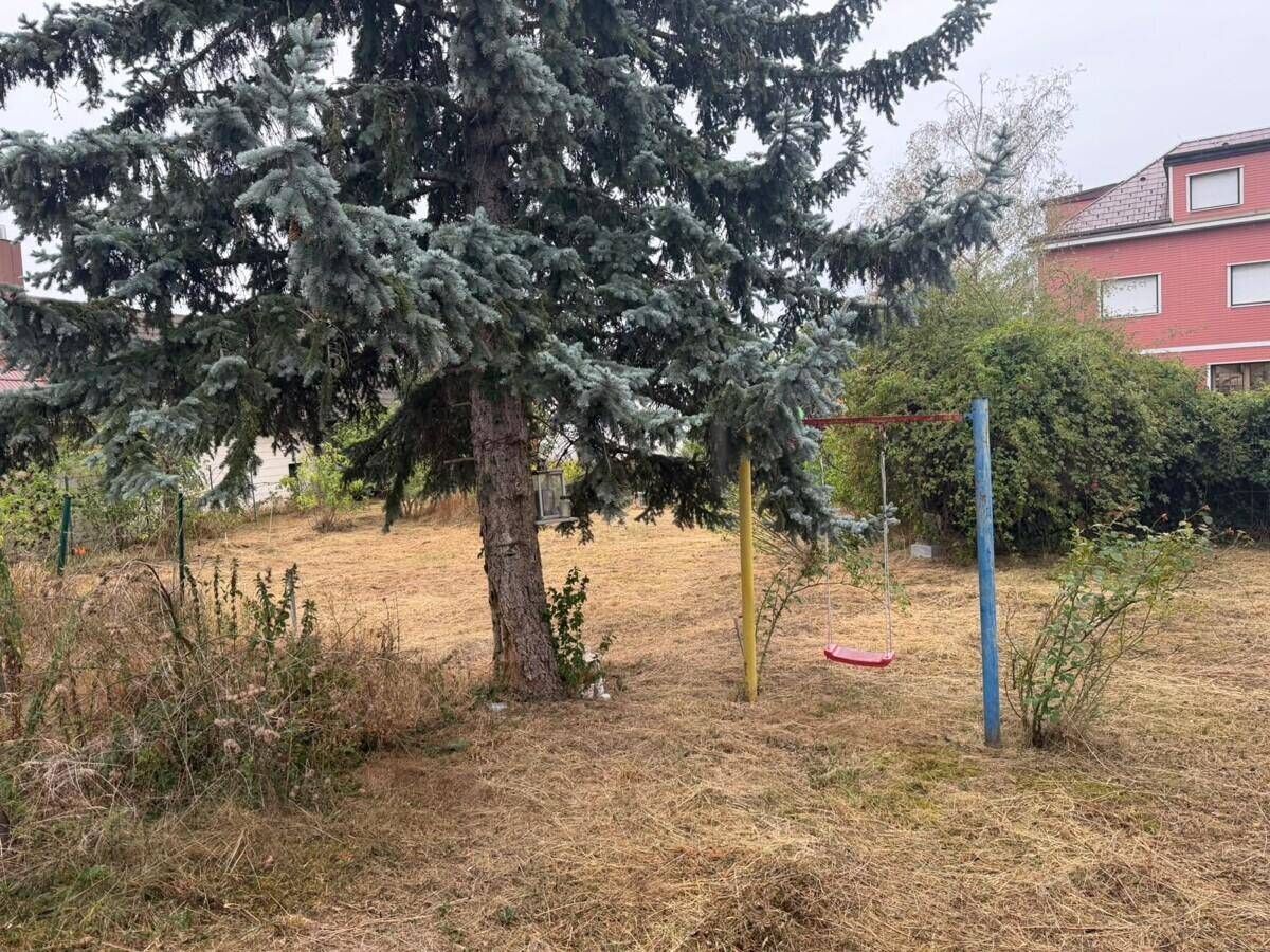 Großer Gartenbereich mit altem Baum und einem einfachen Schaukelgestell für Kinder.