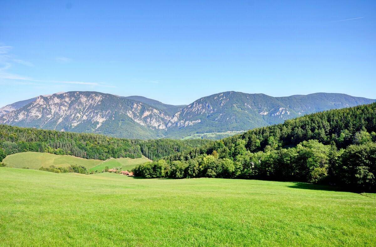 Aussicht - Payerbach/Kreuzberg