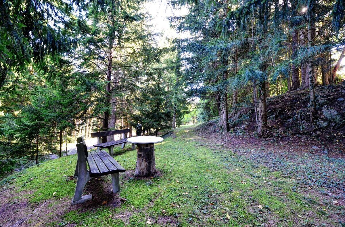 Gartenbereich - Sitzplatz