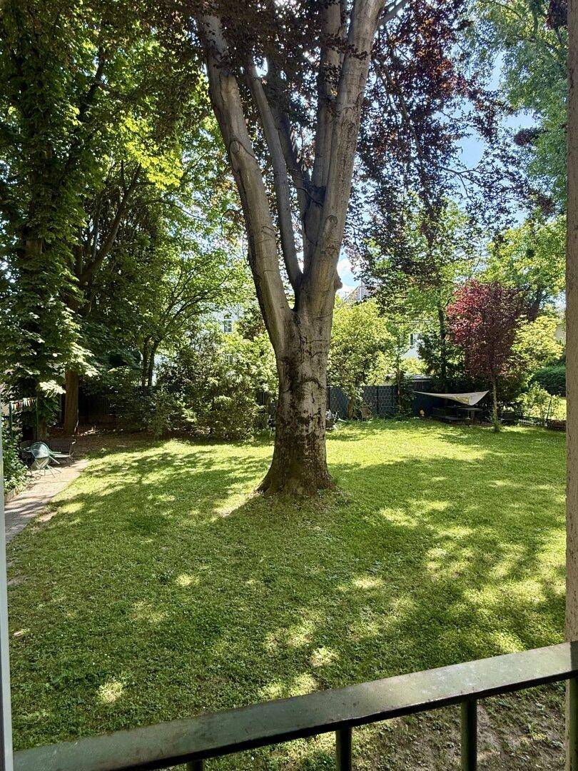 Grüner Garten mit altem Baum und viel Rasenfläche, umgeben von weiteren Bäumen.