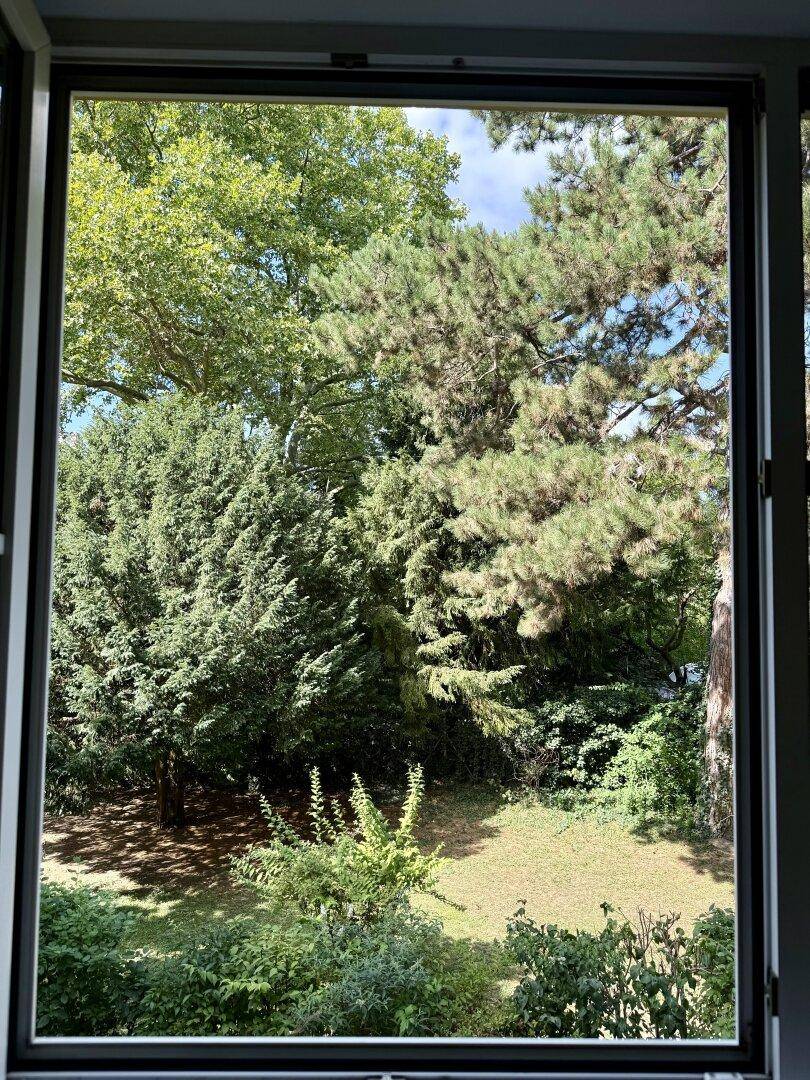 Malerischer Ausblick aus dem Fenster auf üppiges Grün und hohe Bäume, der Ruhe vermittelt.