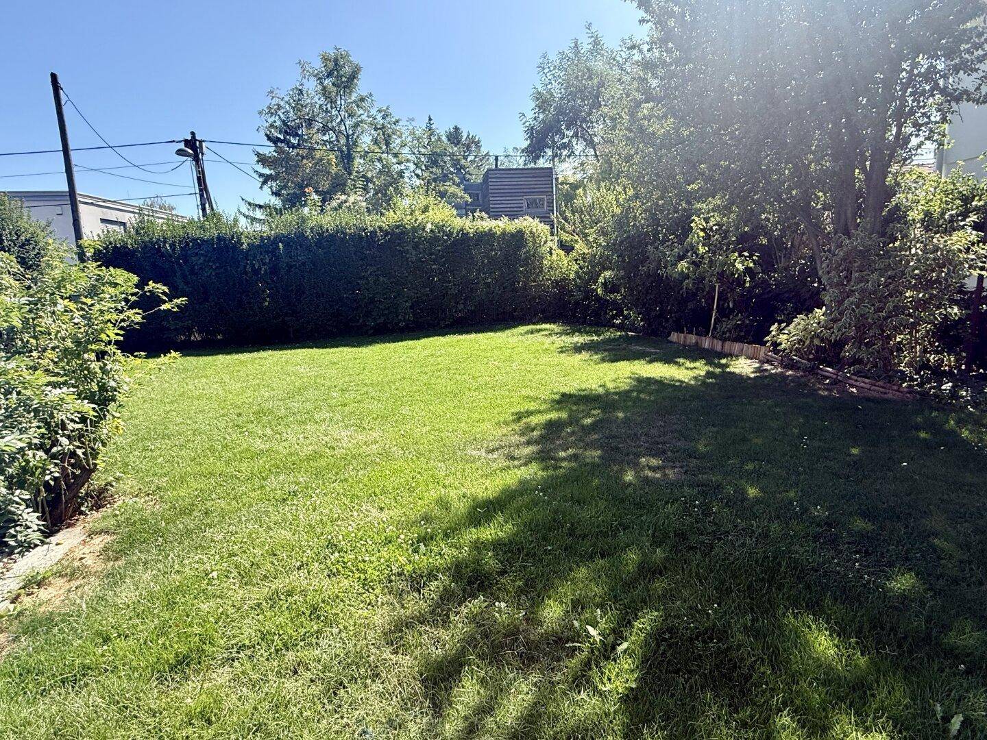 Gepflegter Rasenbereich mit Hecke und Bäumen, ideal zum Entspannen im Freien.