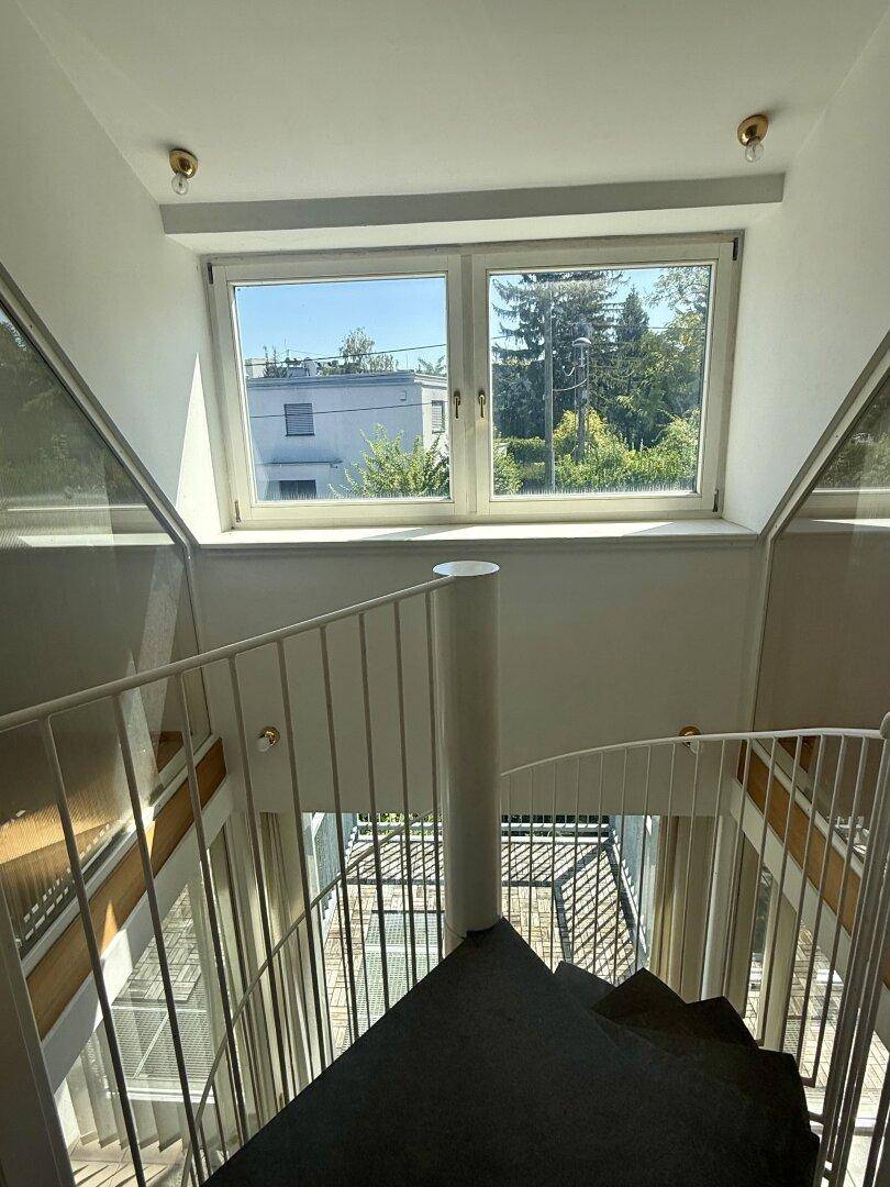 Wendeltreppe in einem hellen Treppenhaus mit Fenster und Blick auf die Umgebung.