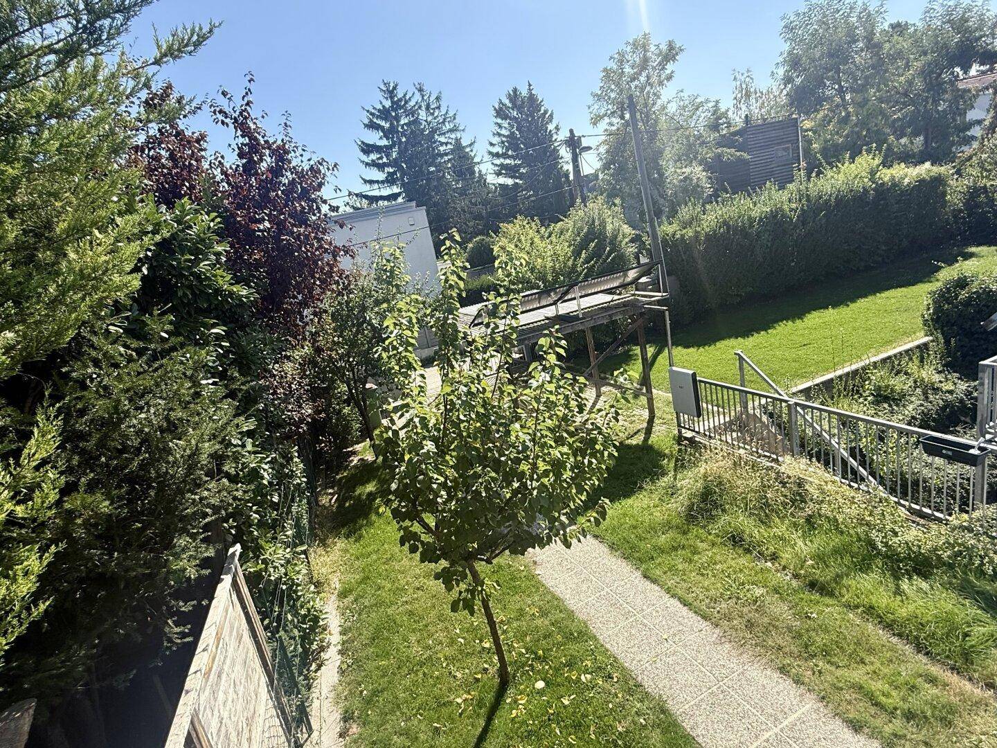 Grüner Gartenbereich mit Bäumen, Sträuchern und einem gepflasterten Weg.