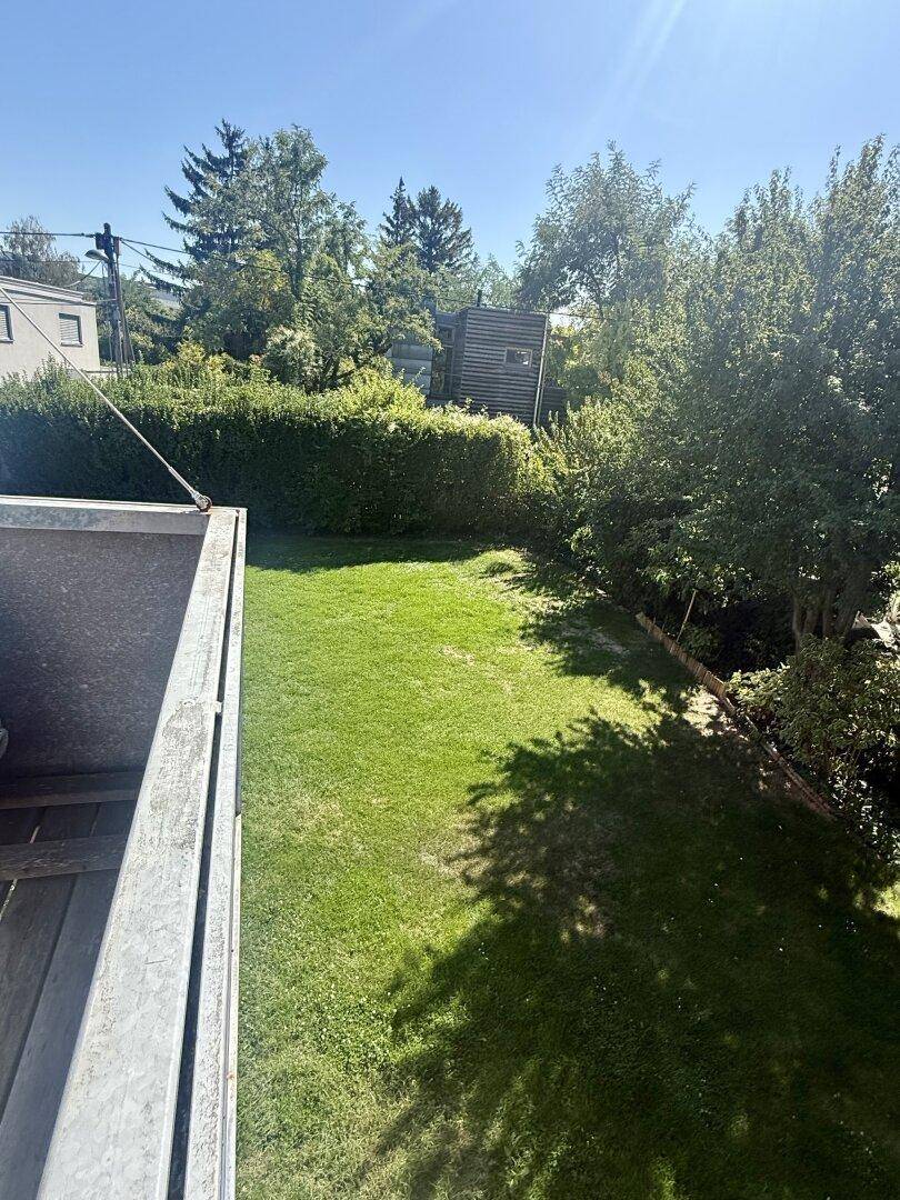 Weitläufiger Rasenbereich mit Hecke und Bäumen unter blauem Himmel.